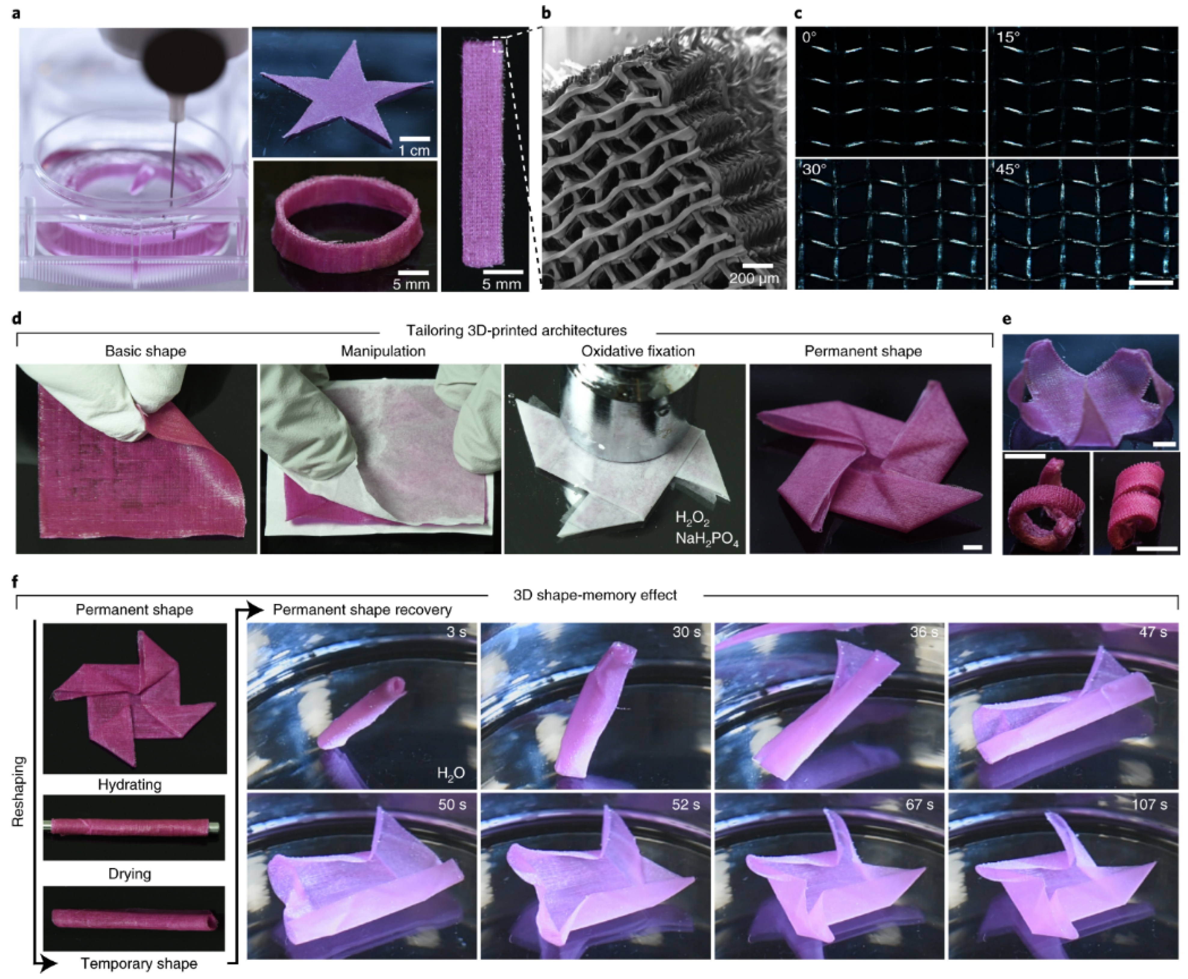 Polymers 16 00700 g011
