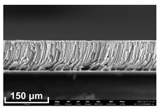 Polymers 16 00703 i003