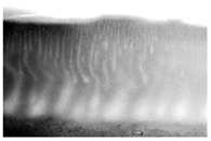 Polymers 16 00703 i004