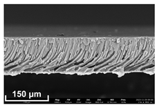 Polymers 16 00703 i005