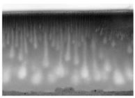 Polymers 16 00703 i006