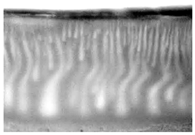 Polymers 16 00703 i012