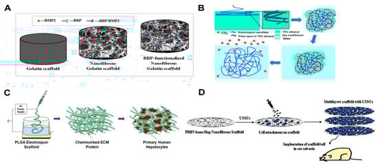 Polymers 16 00706 g001