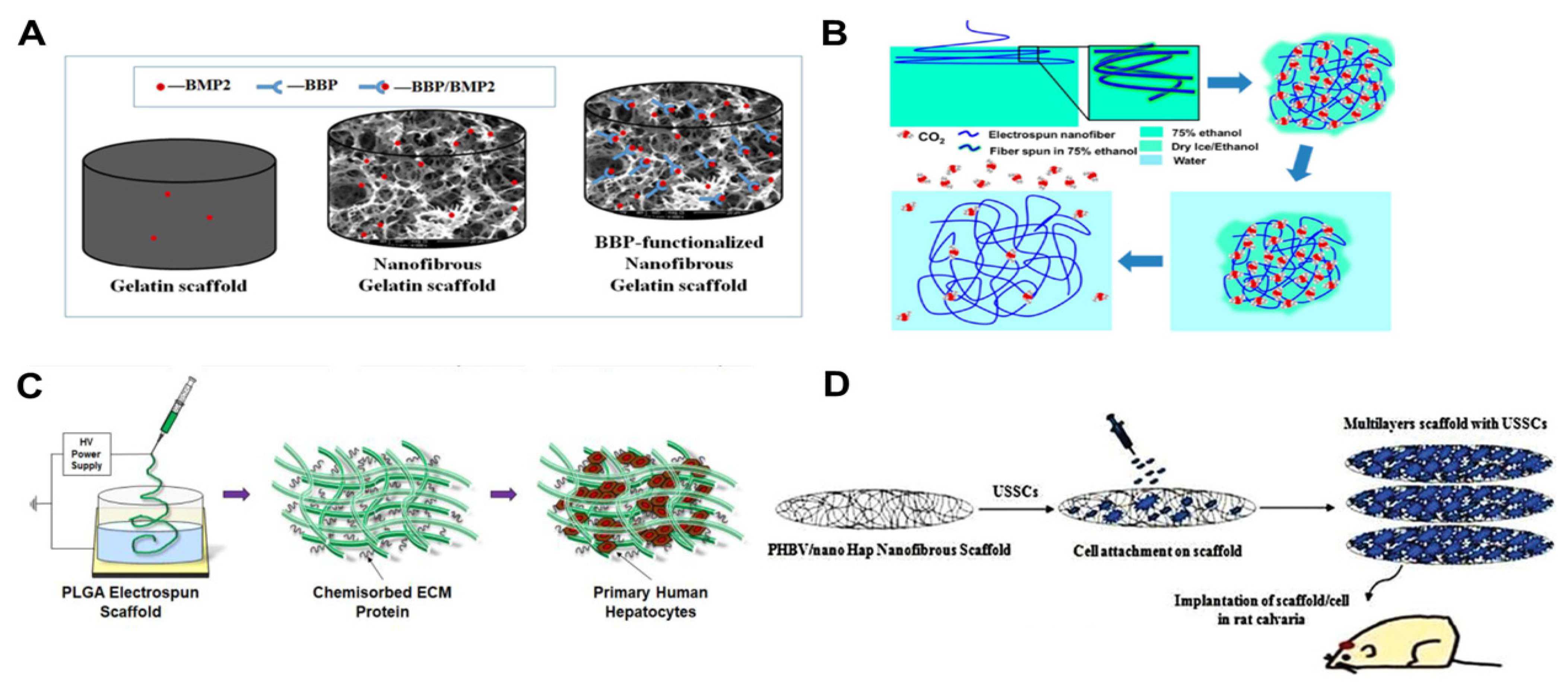 Polymers 16 00706 g001