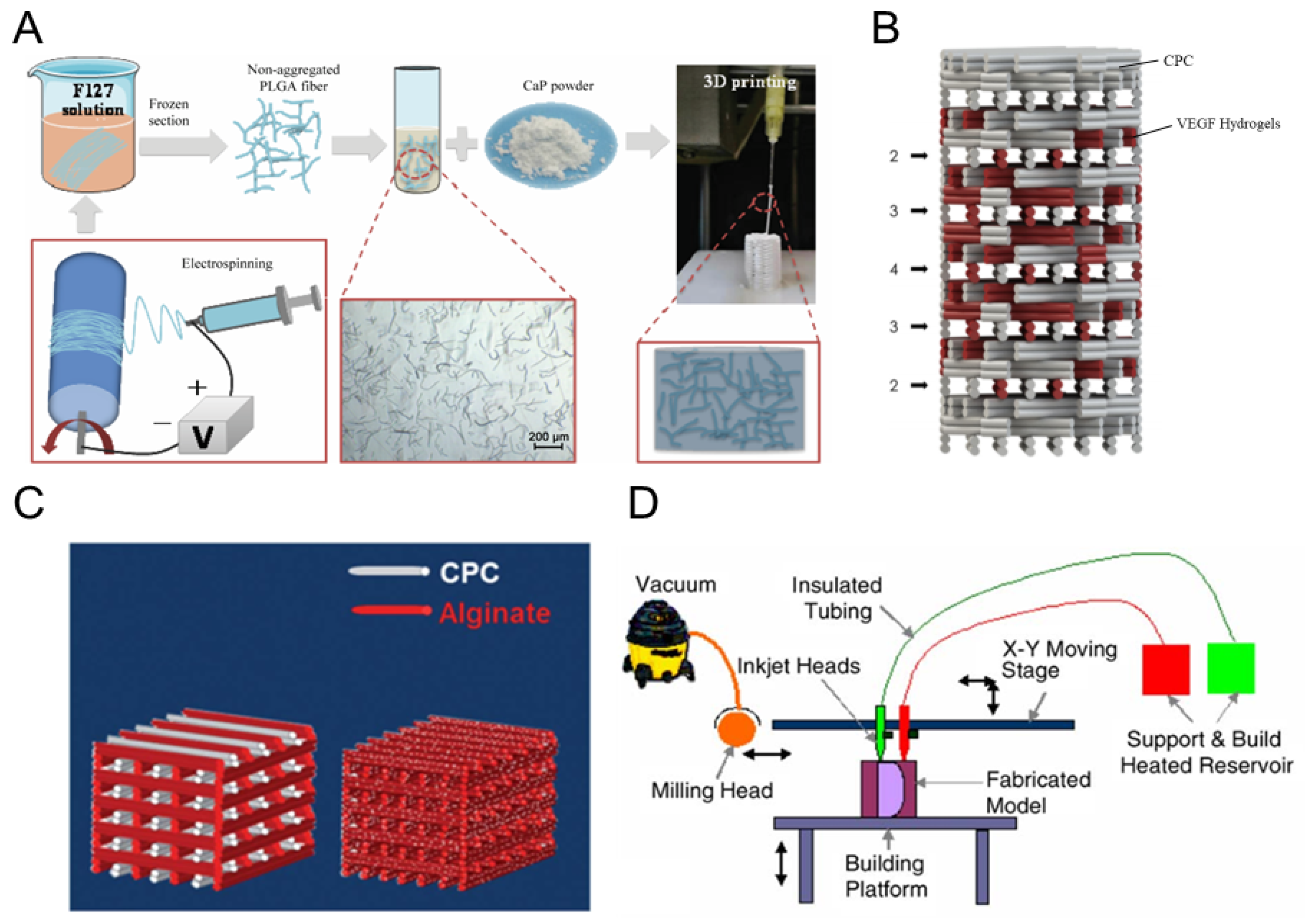 Polymers 16 00706 g002