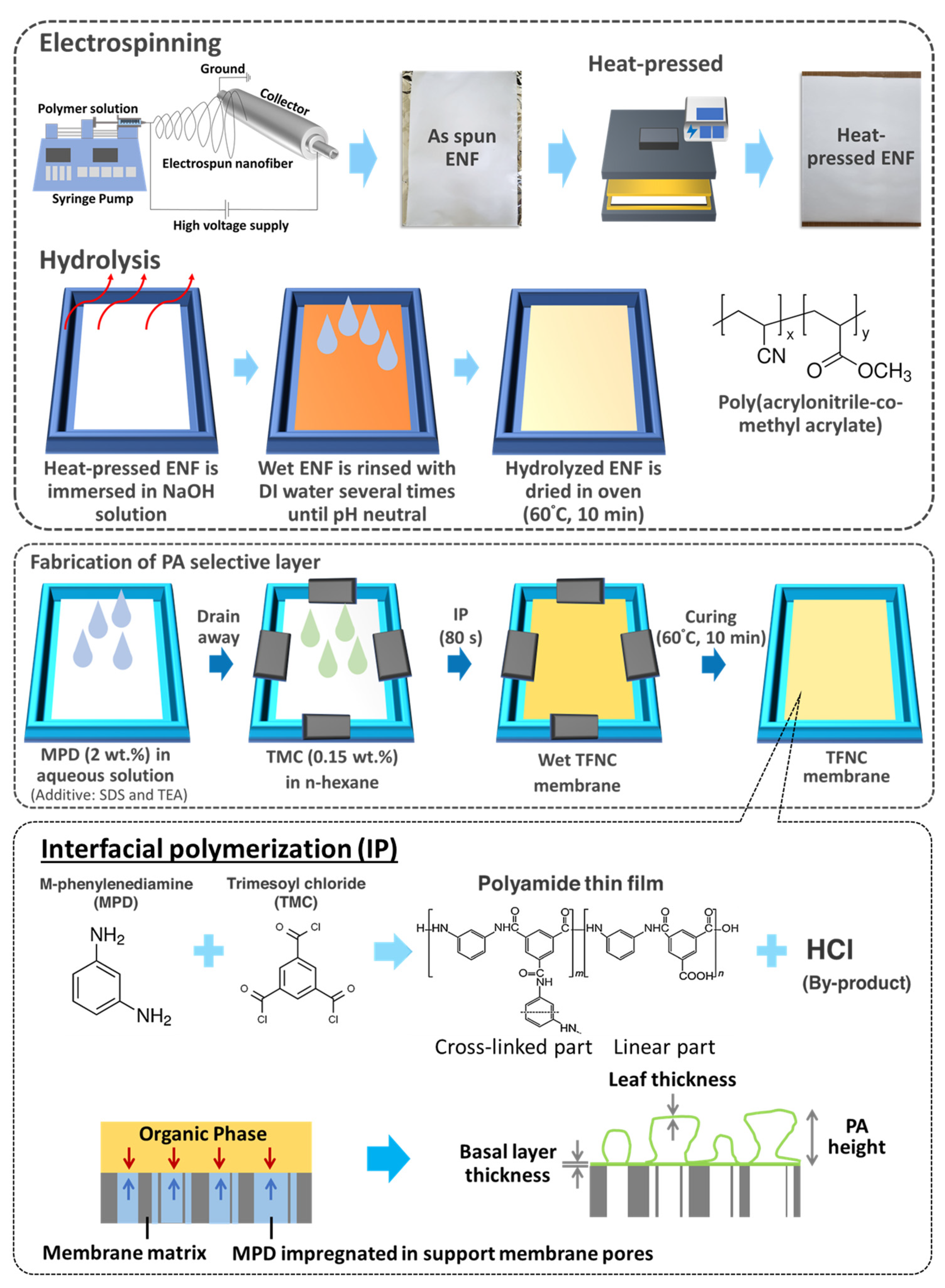 Polymers 16 00713 g001