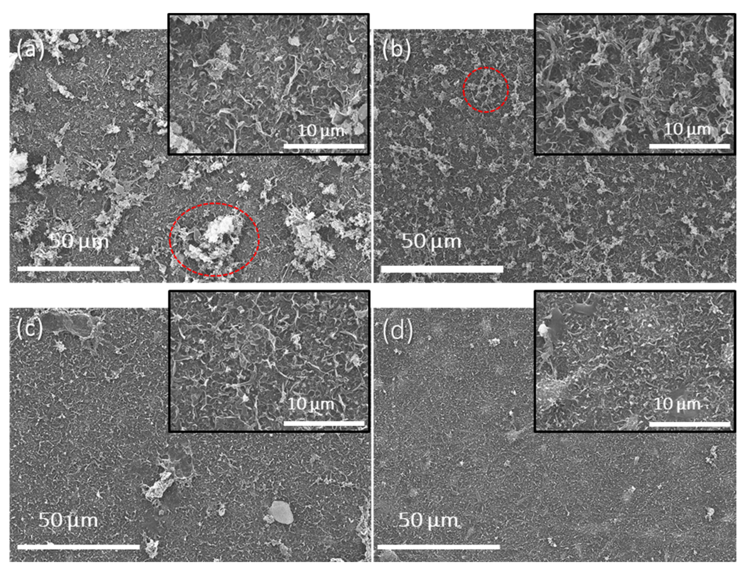 Polymers 16 00713 g004