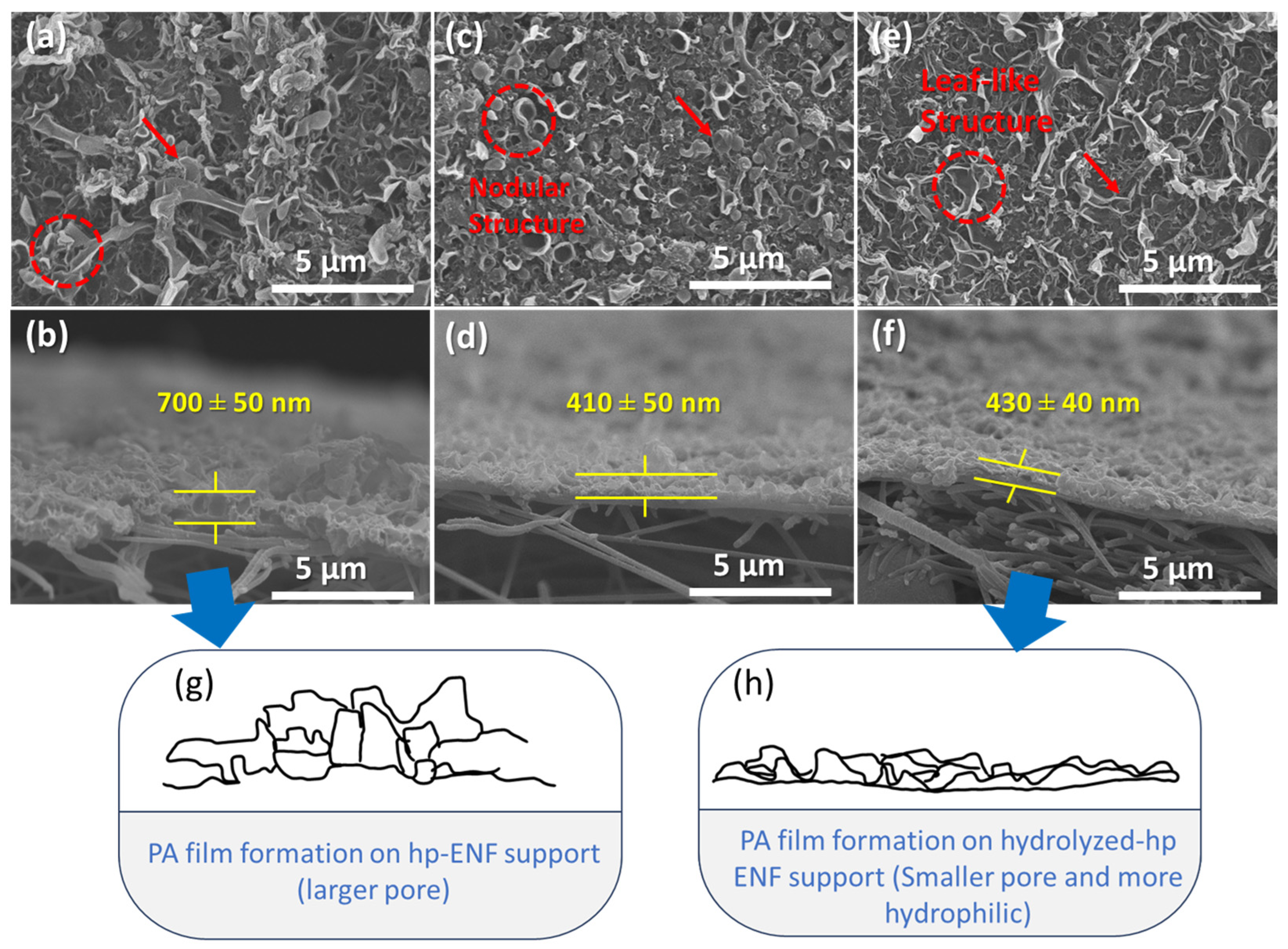 Polymers 16 00713 g010