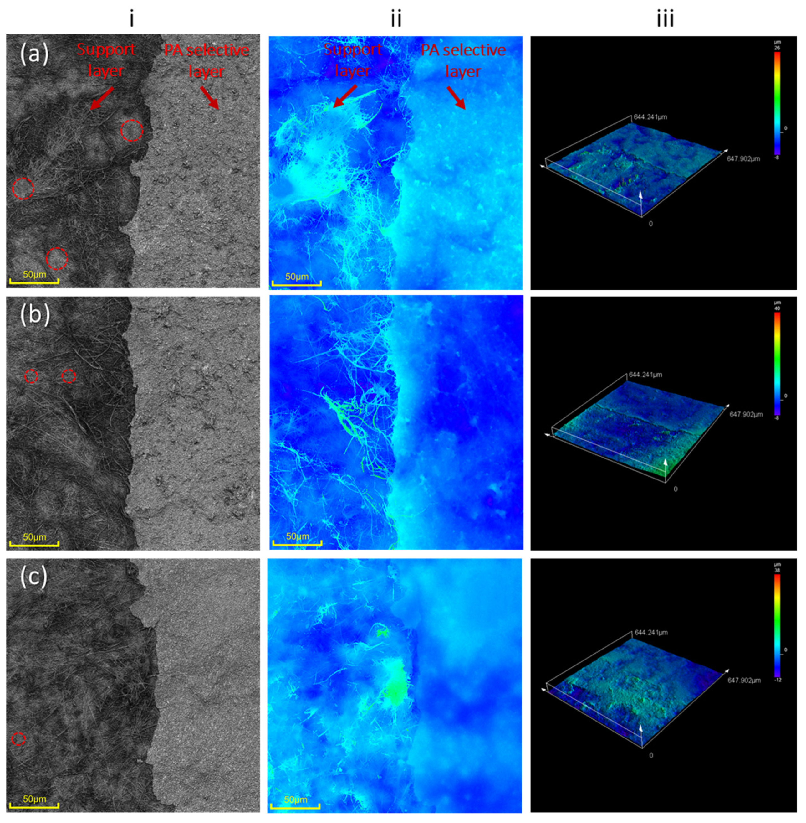 Polymers 16 00713 g011
