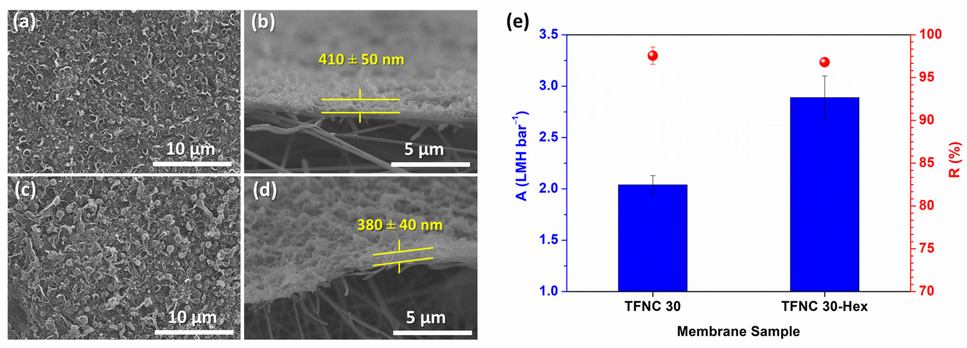 Polymers 16 00713 g015