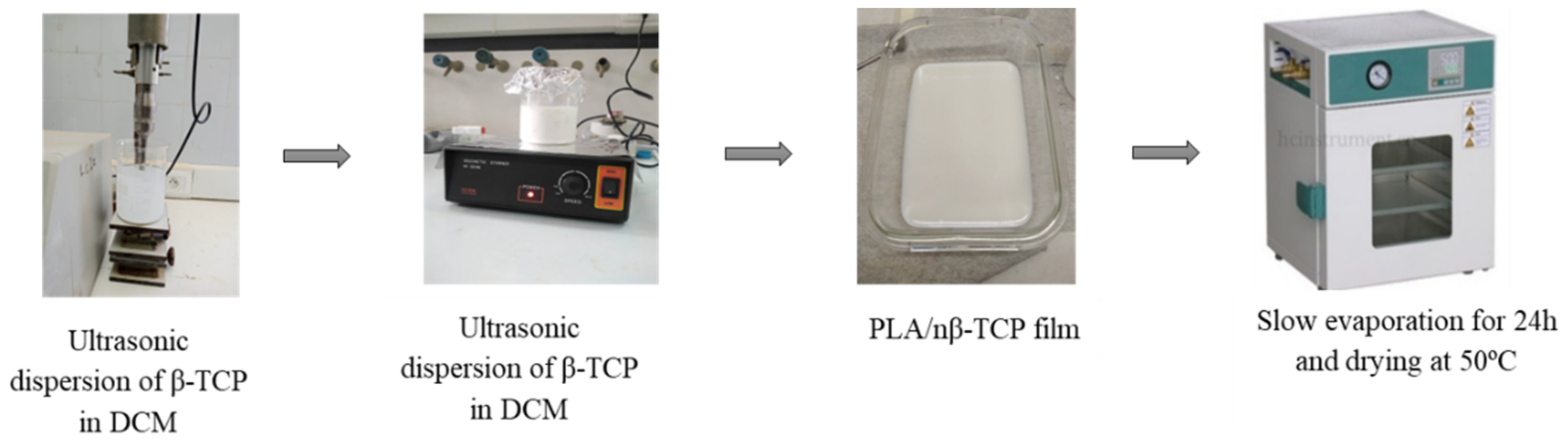 Polymers 16 00719 g001