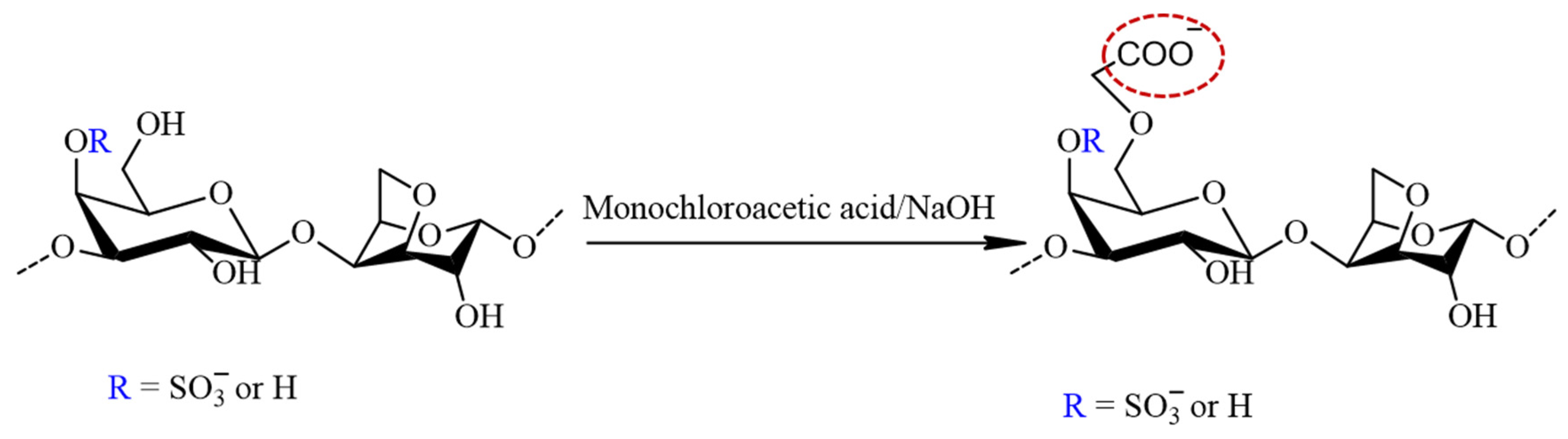 Polymers 16 00720 g003