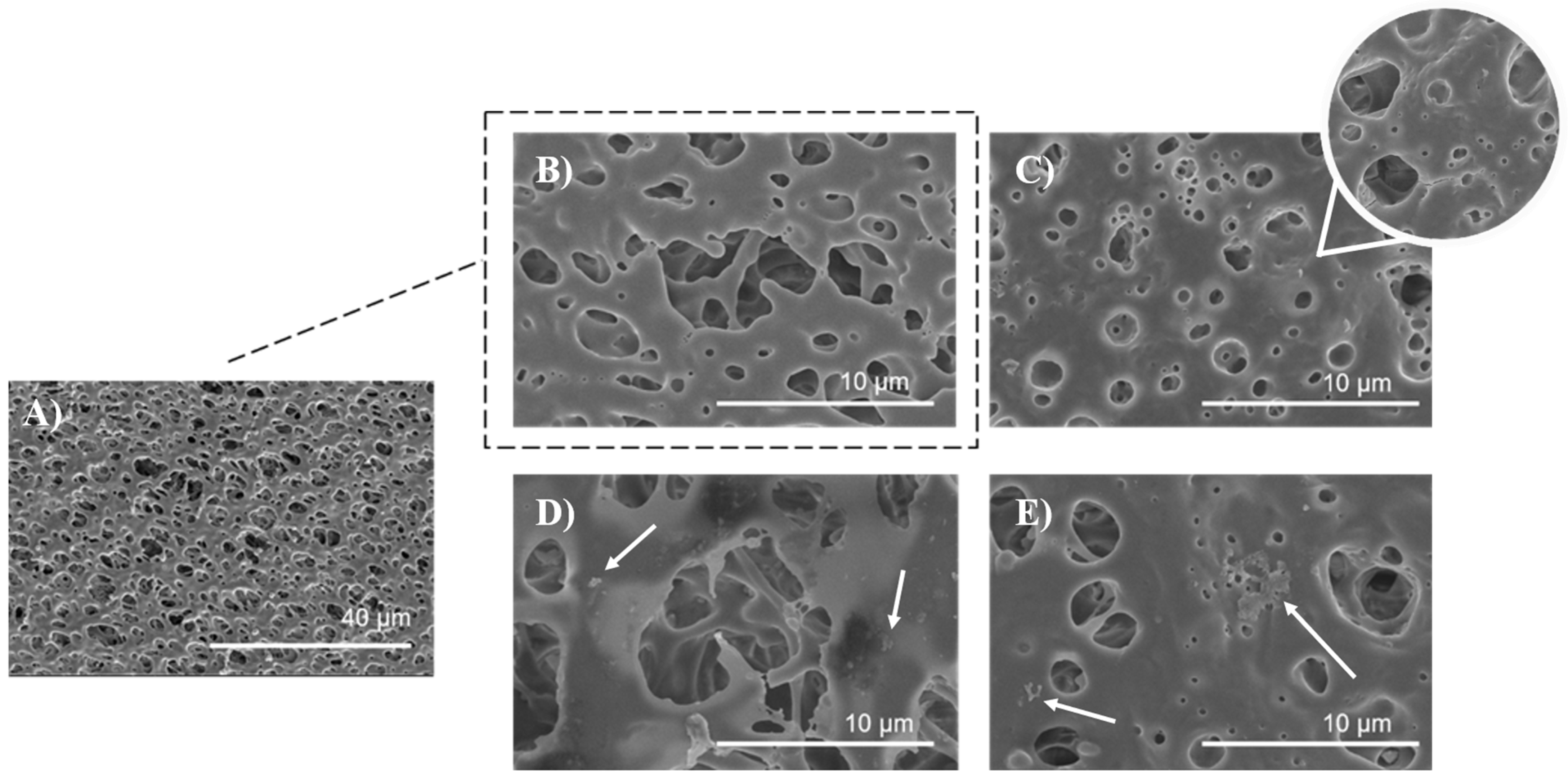 Polymers 16 00720 g008