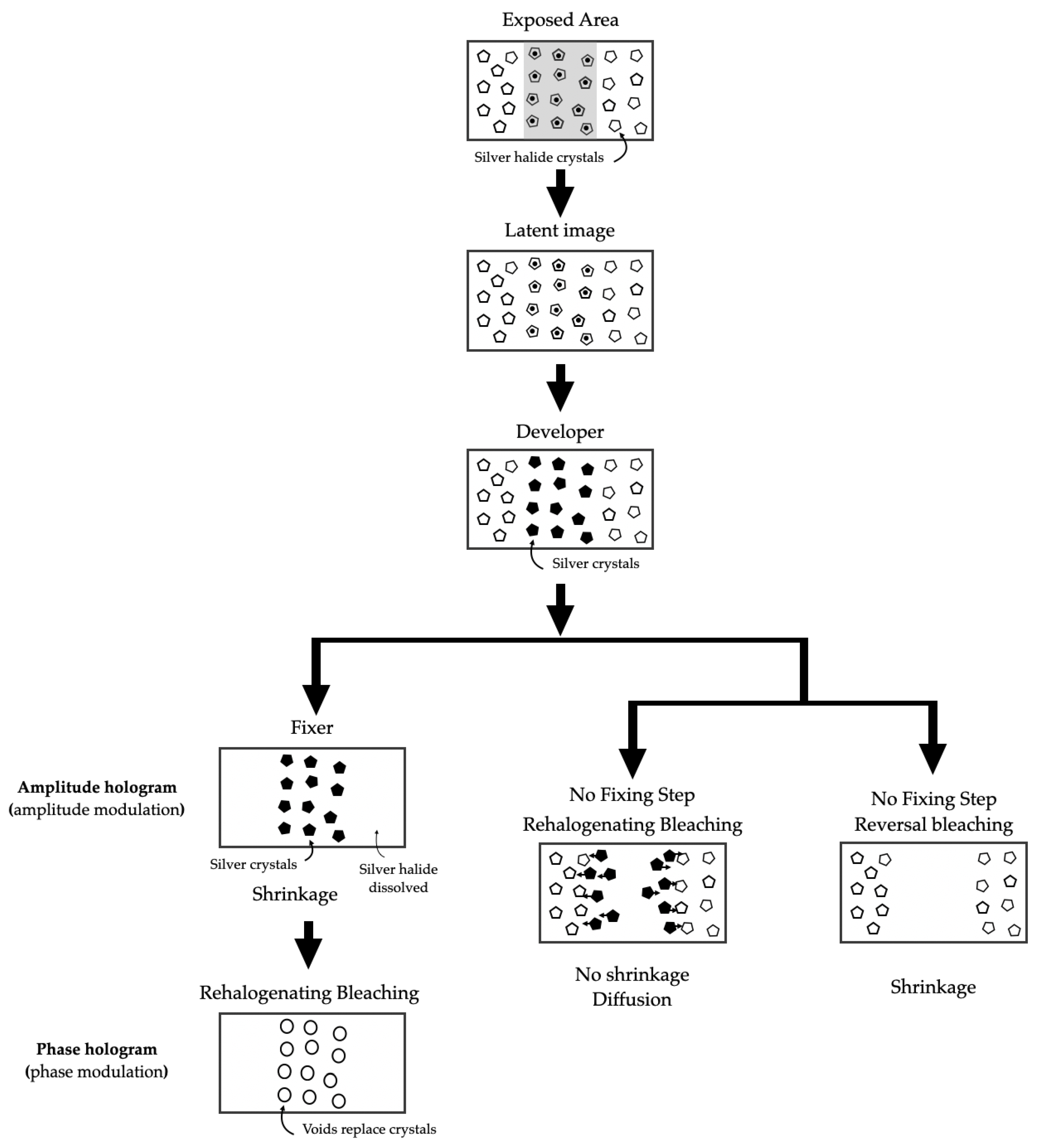 Polymers 16 00732 g007 Polymers 16 00732 g007