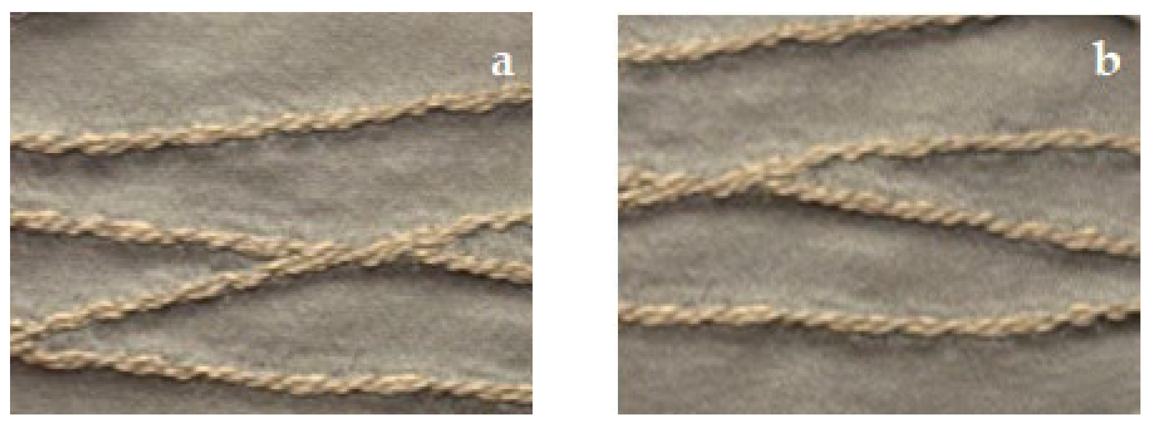 Polymers 16 00735 g006 Polymers 16 00735 g006