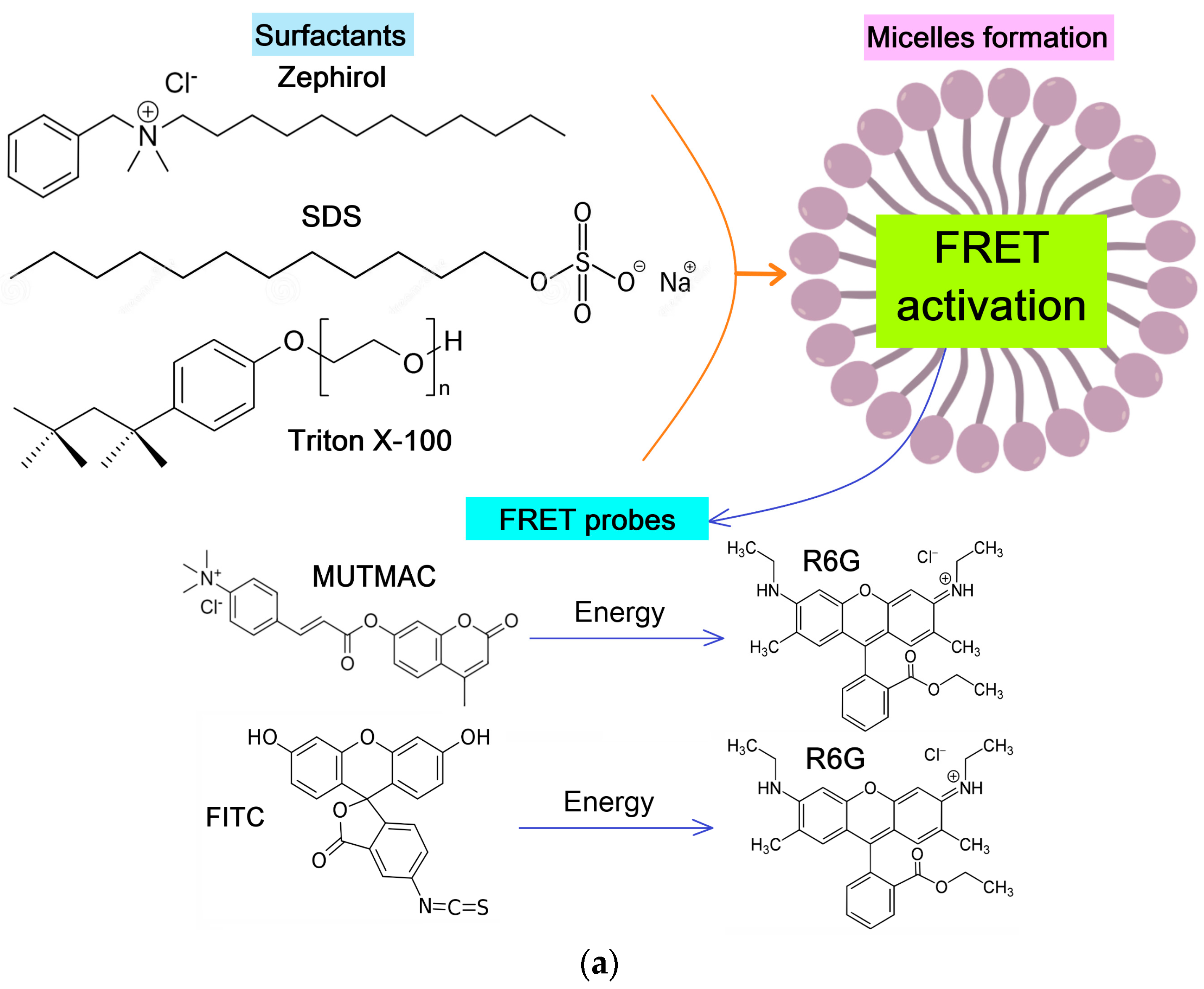 Polymers 16 00739 g001a
