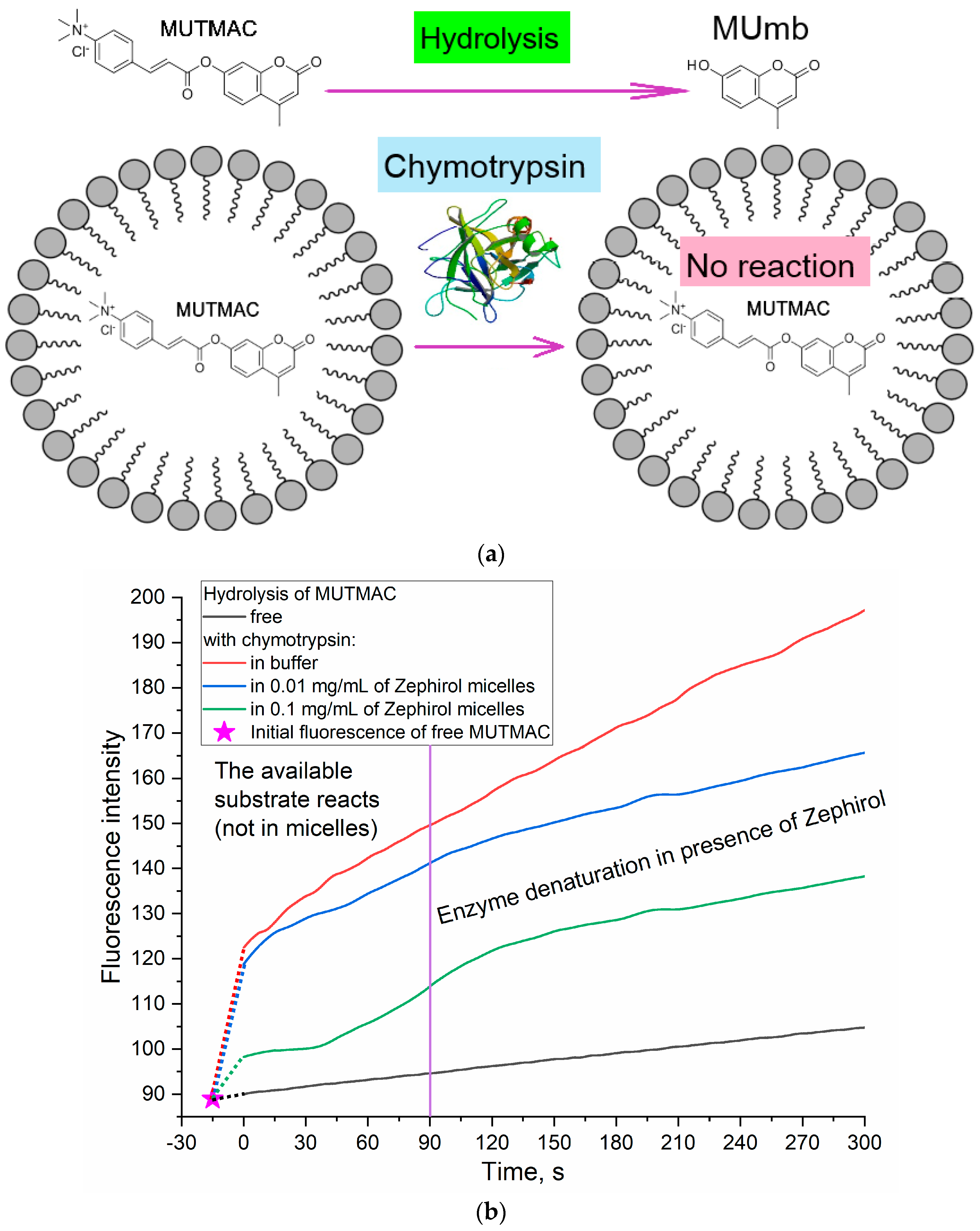 Polymers 16 00739 g002