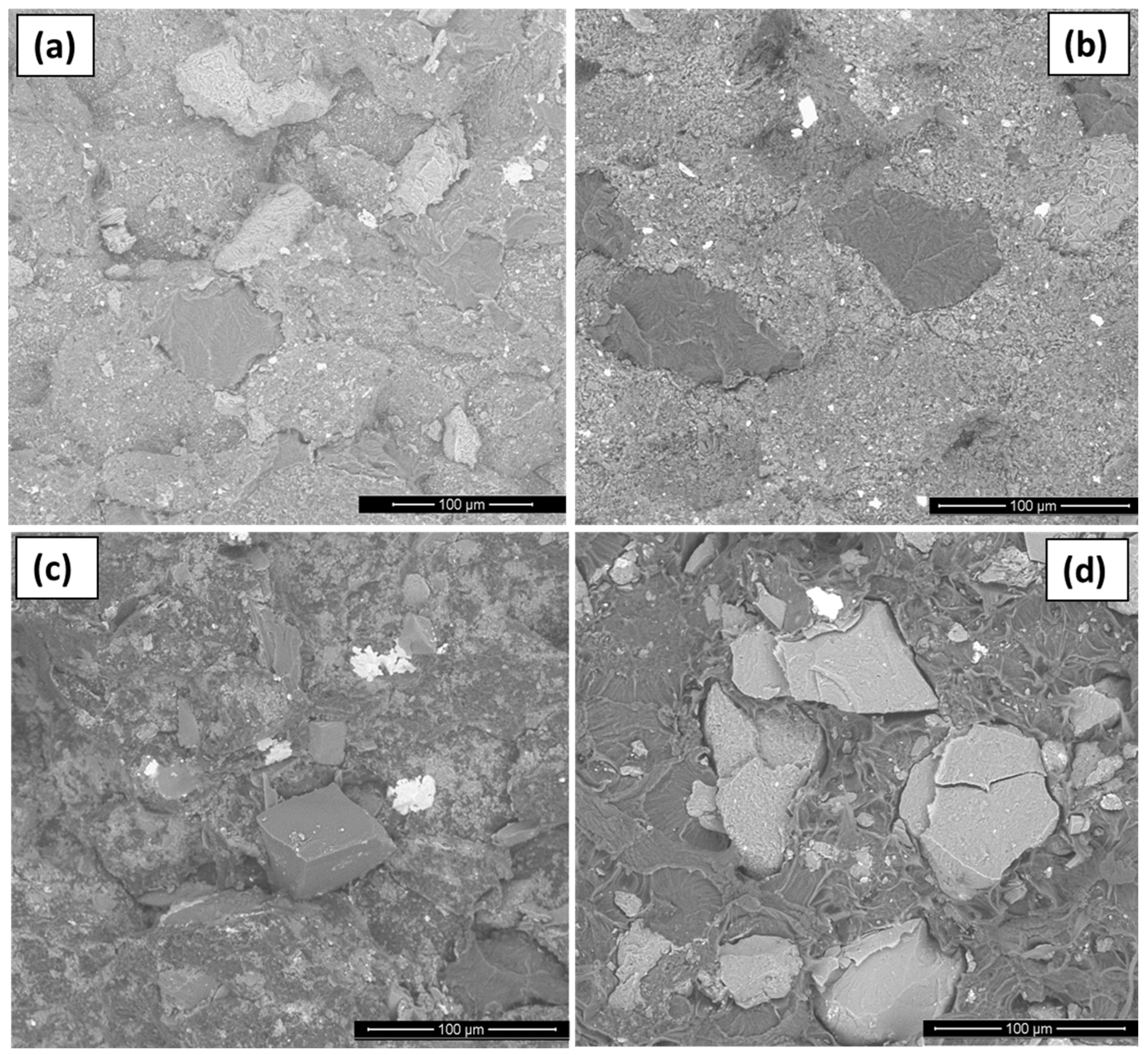 Polymers 16 00741 g006 Polymers 16 00741 g006