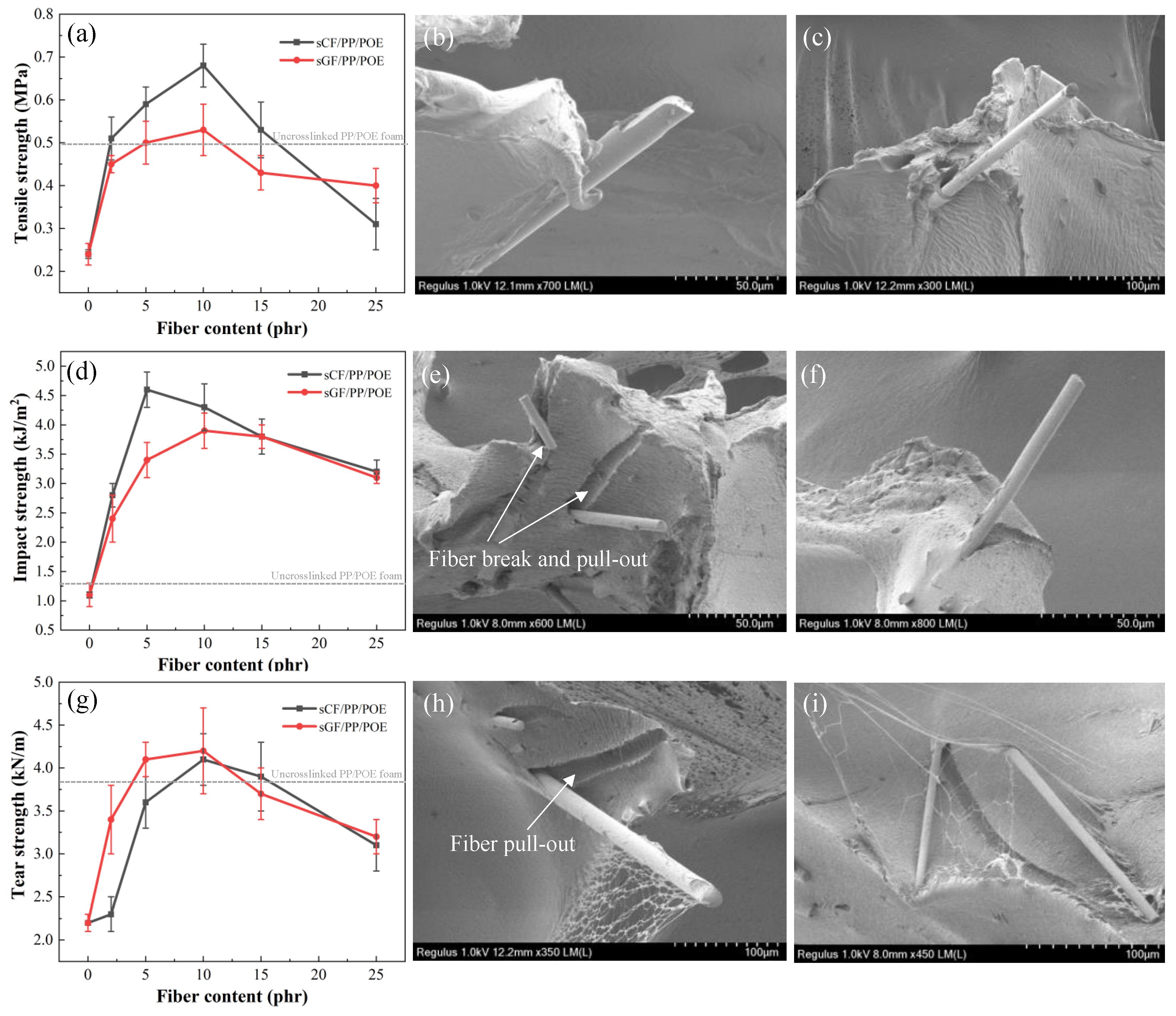 Polymers 16 00745 g010