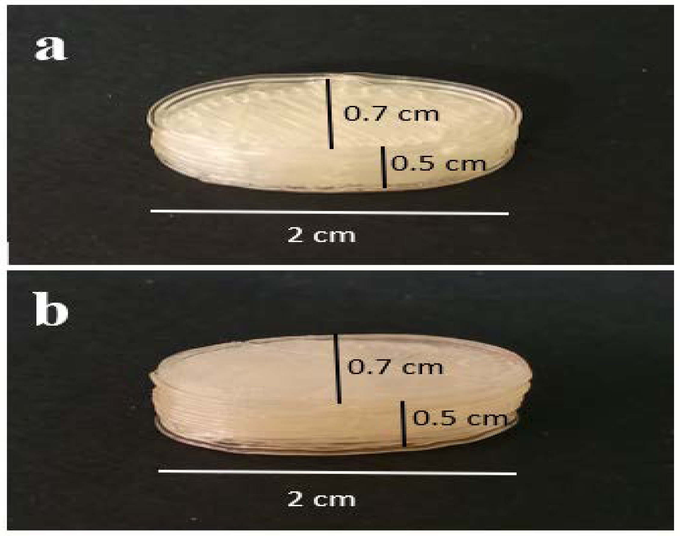 Polymers 16 00746 g001
