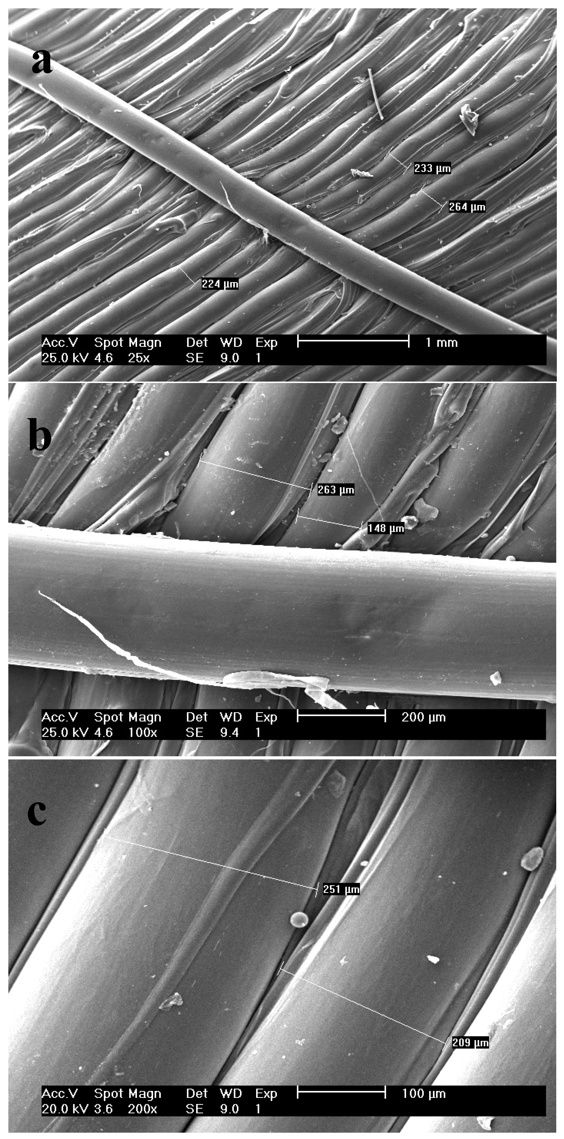 Polymers 16 00746 g003