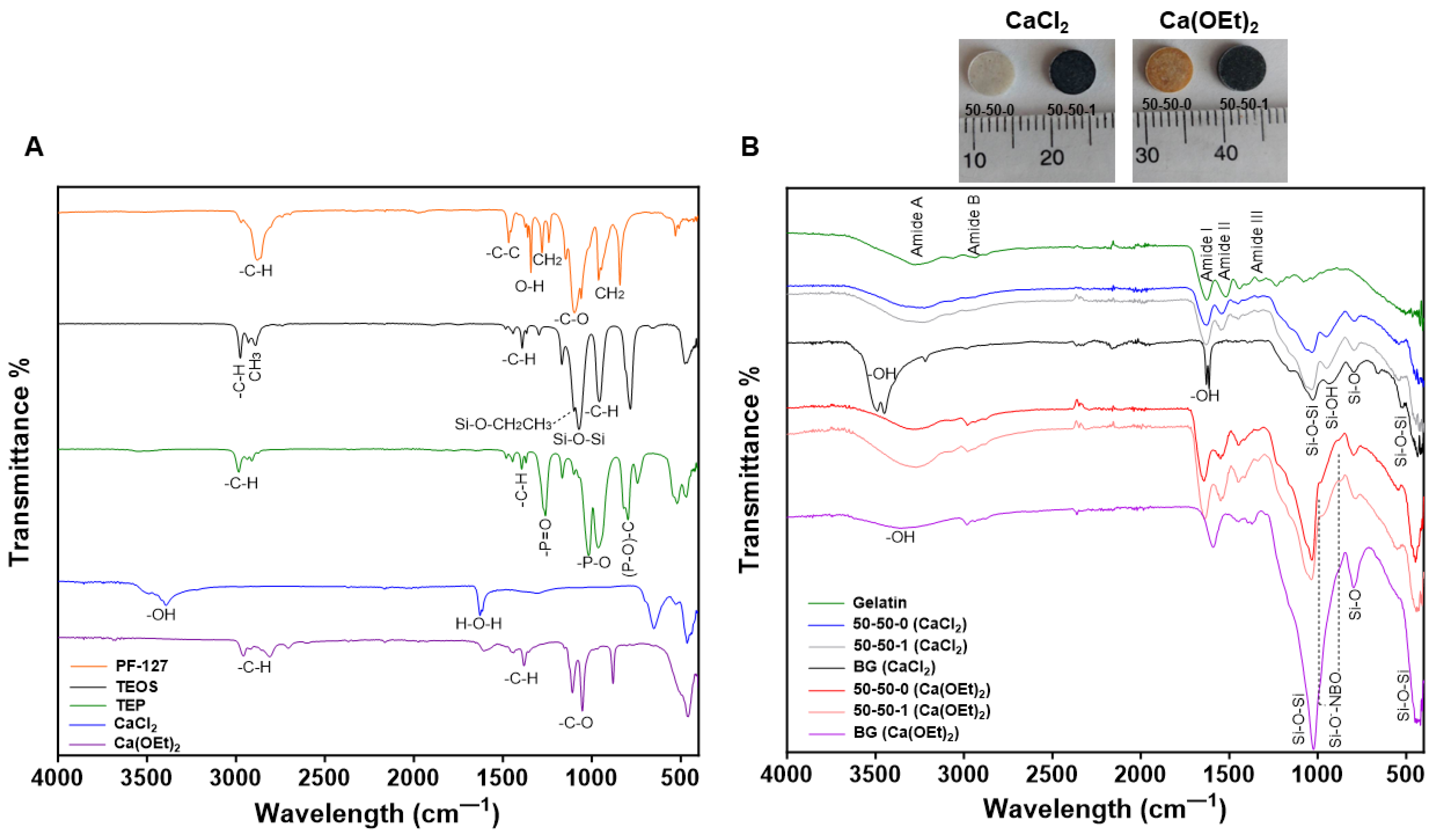 Polymers 16 00747 g001