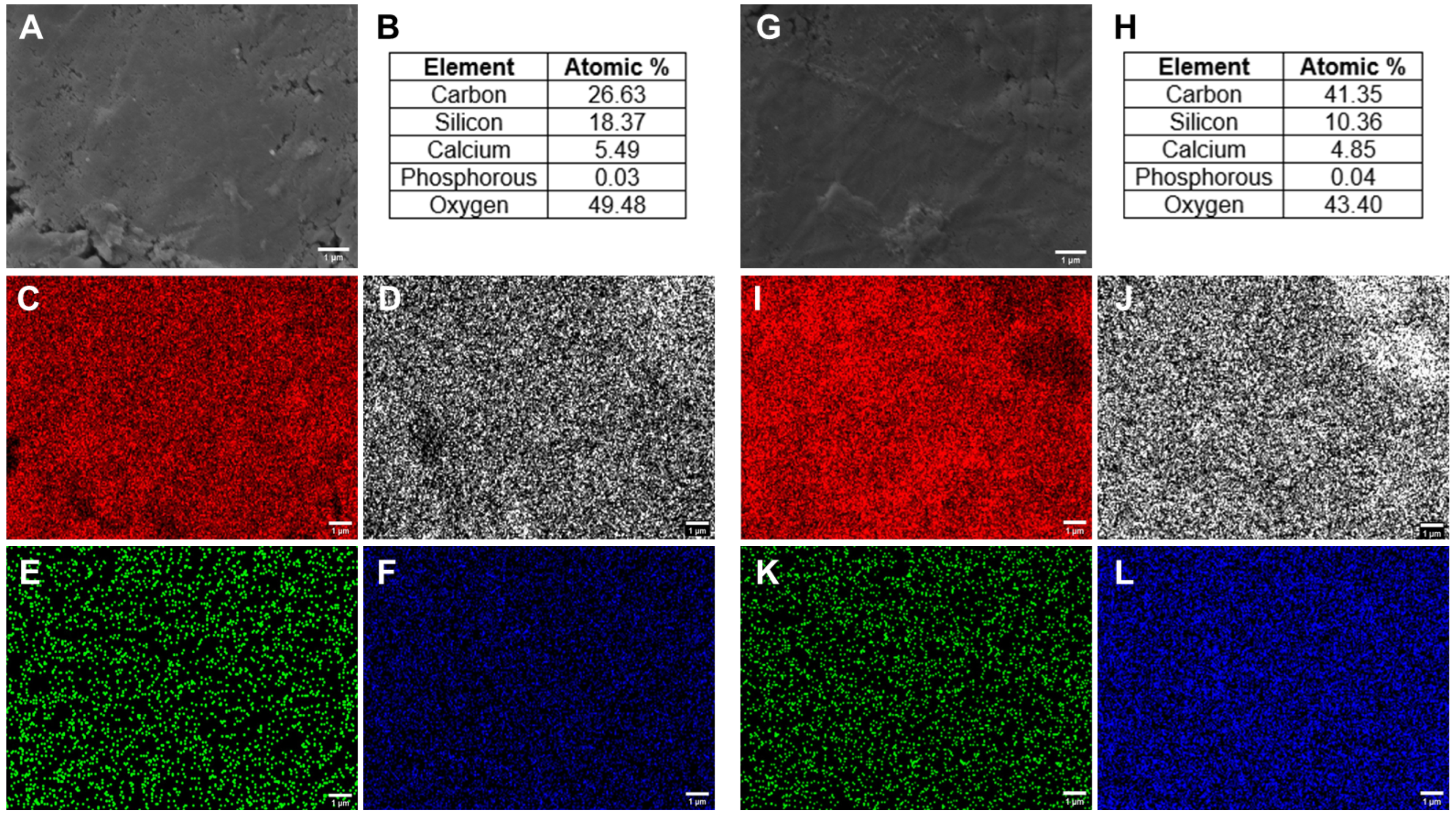 Polymers 16 00747 g002