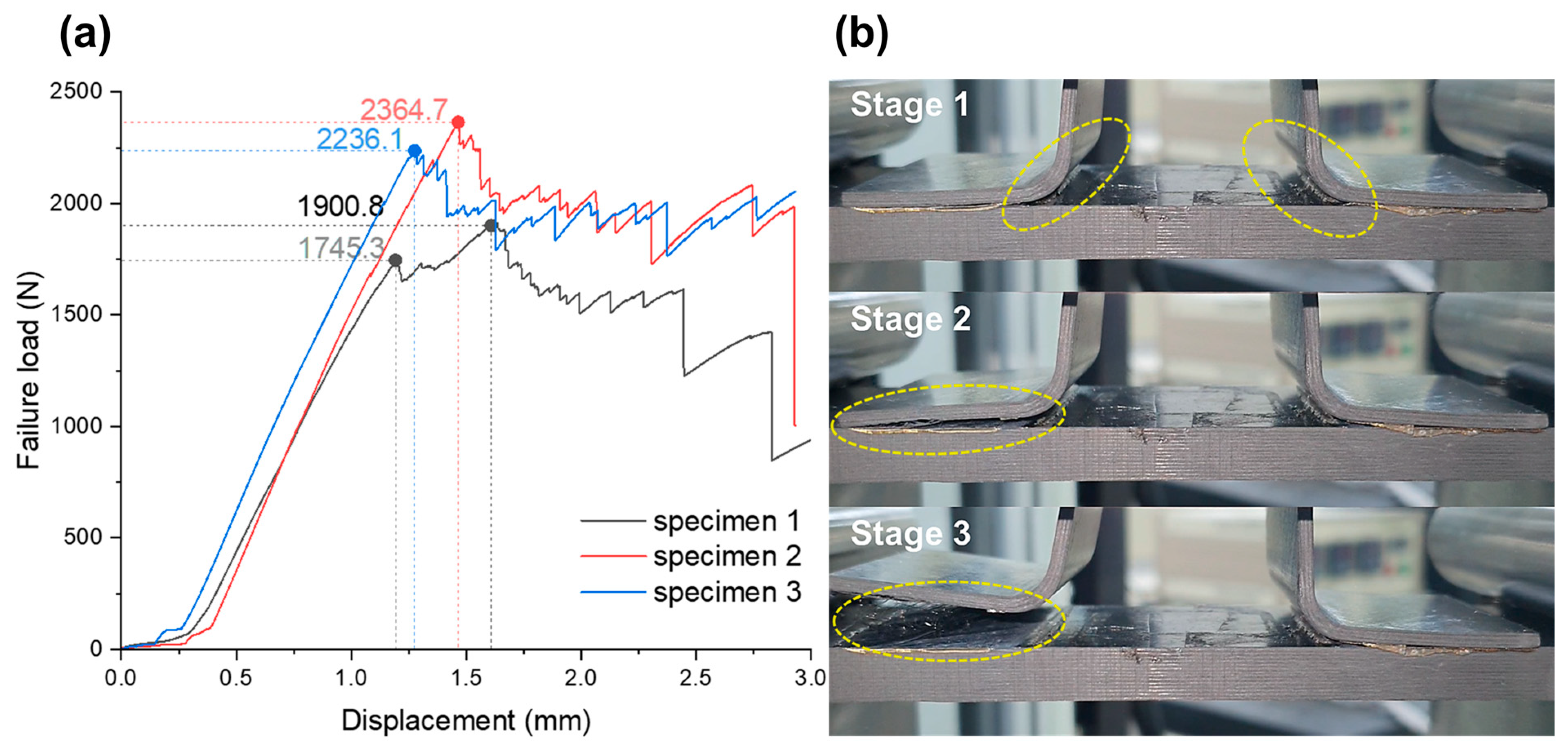 Polymers 16 00750 g008