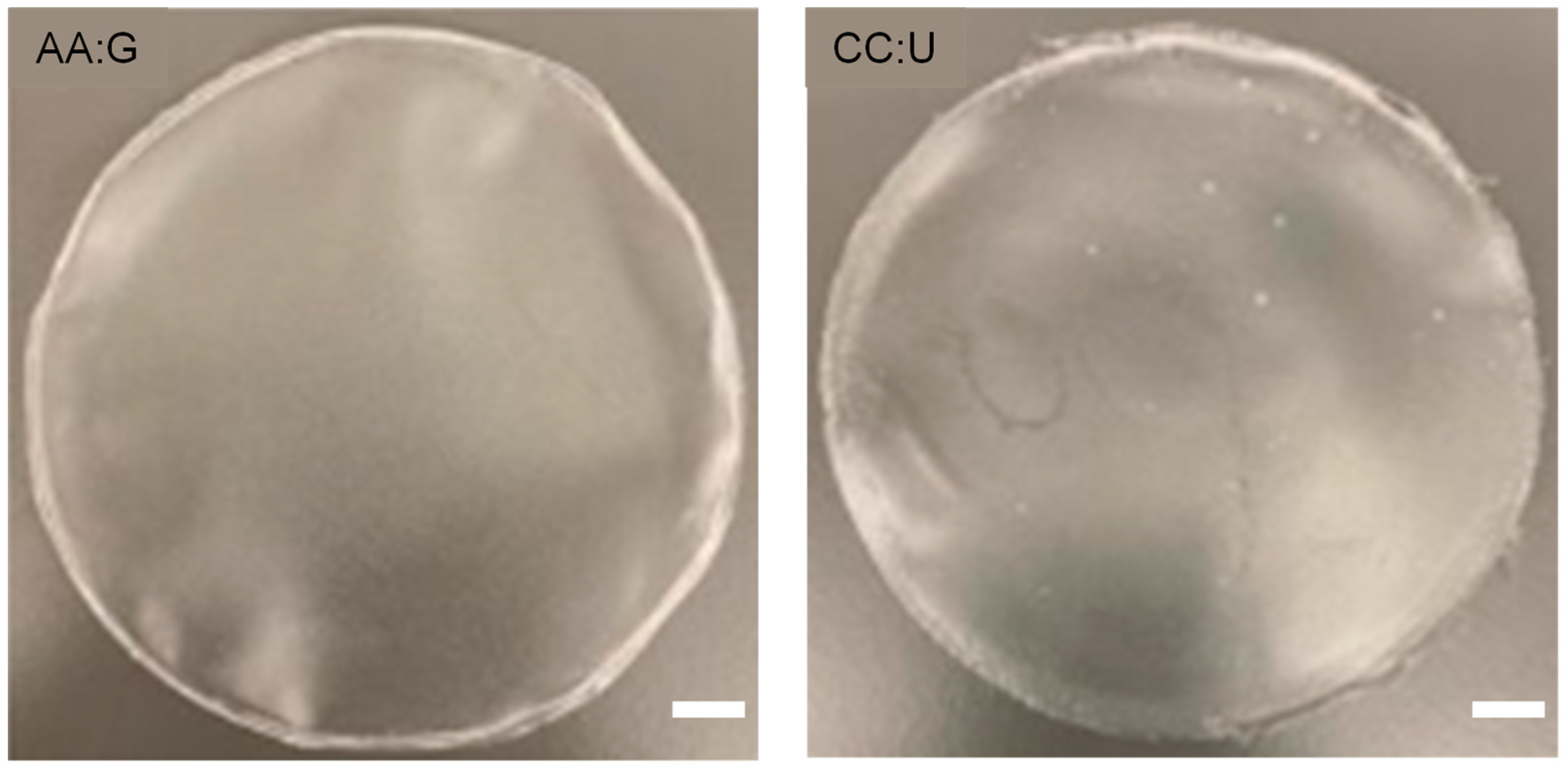 Polymers 16 00751 g002