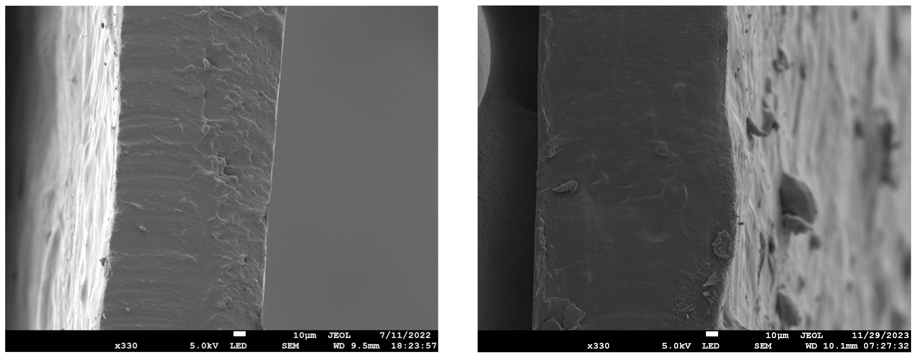 Polymers 16 00751 g004