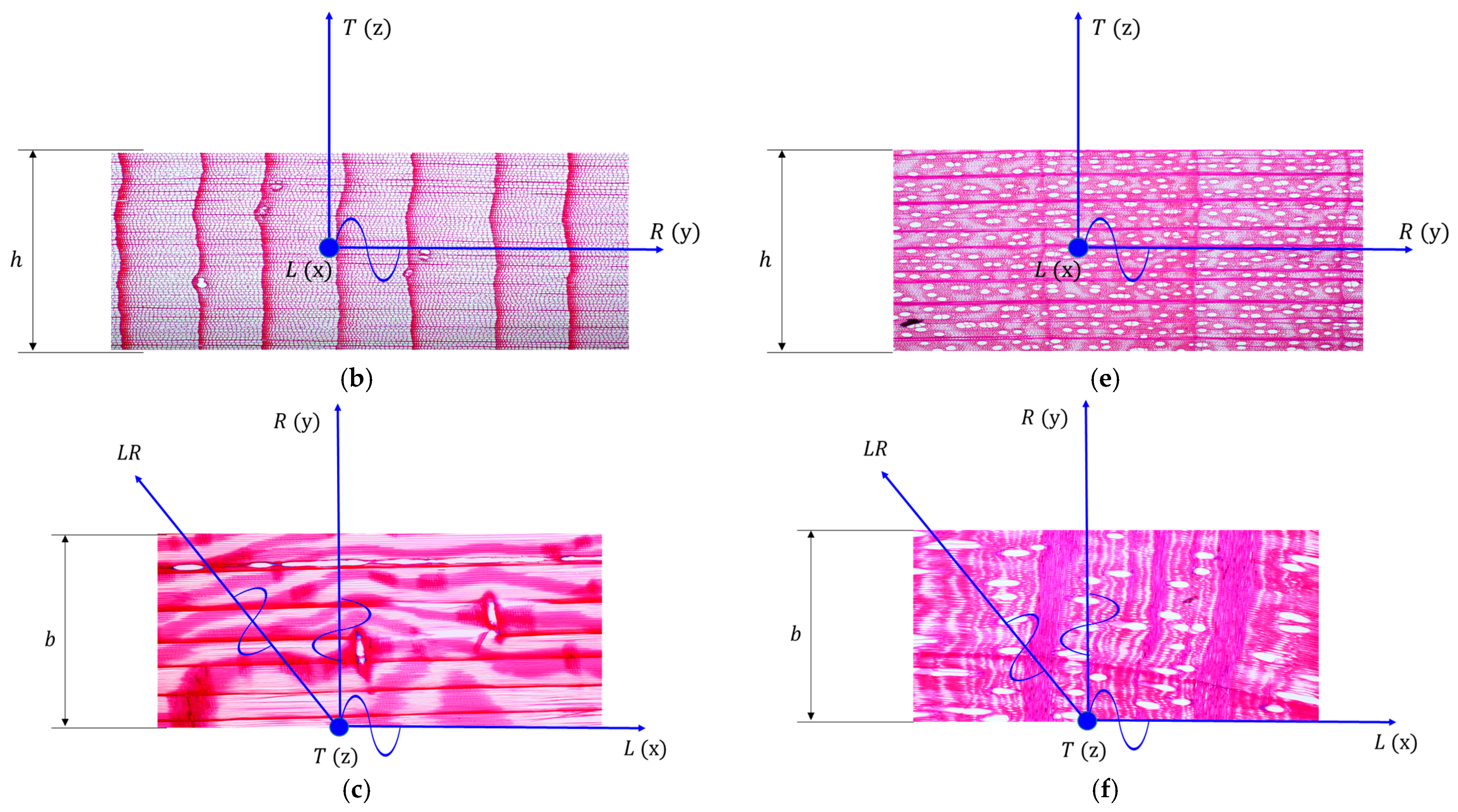 Polymers 16 00753 g006b