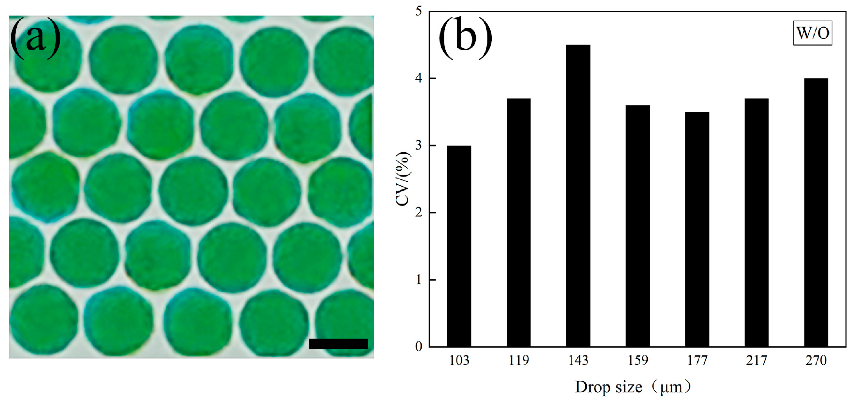 Polymers 16 00765 g005