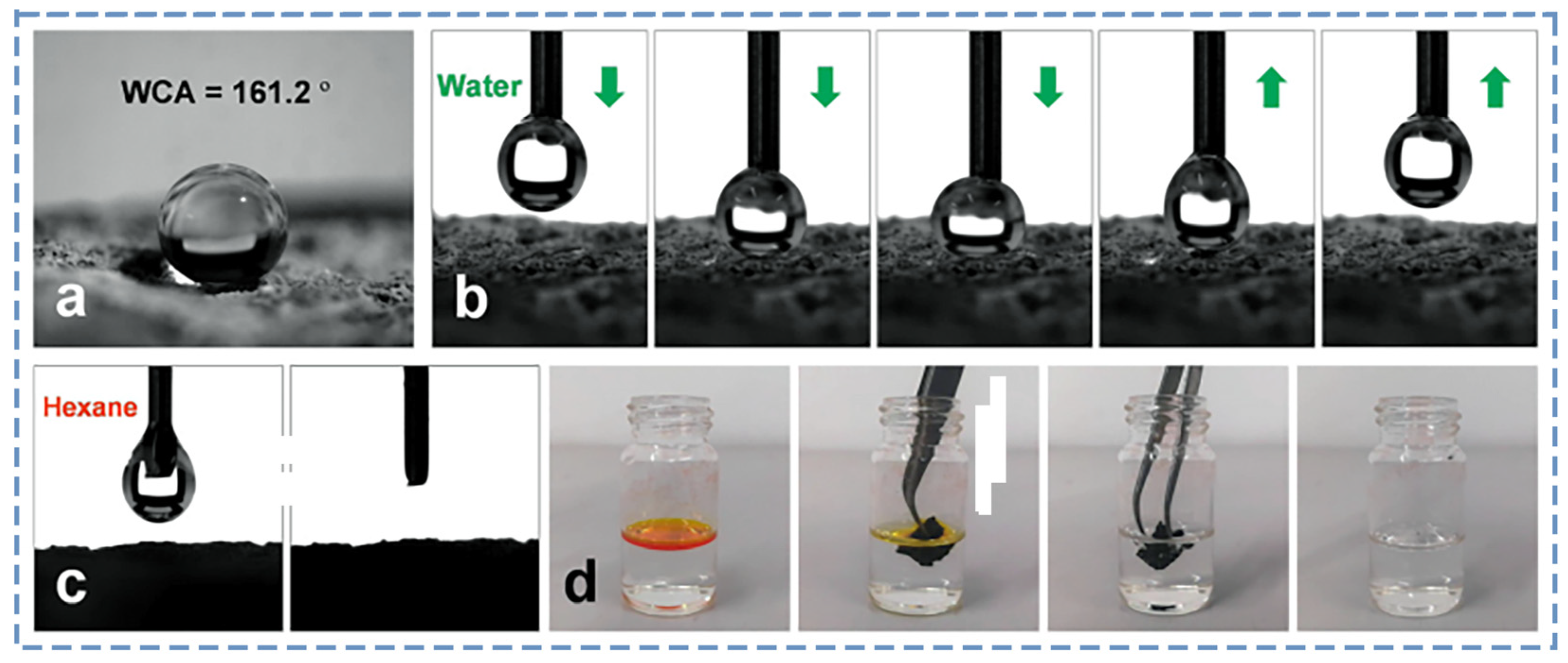 Polymers 16 00770 g008