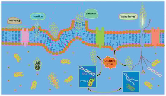 Polymers 16 00771 g015