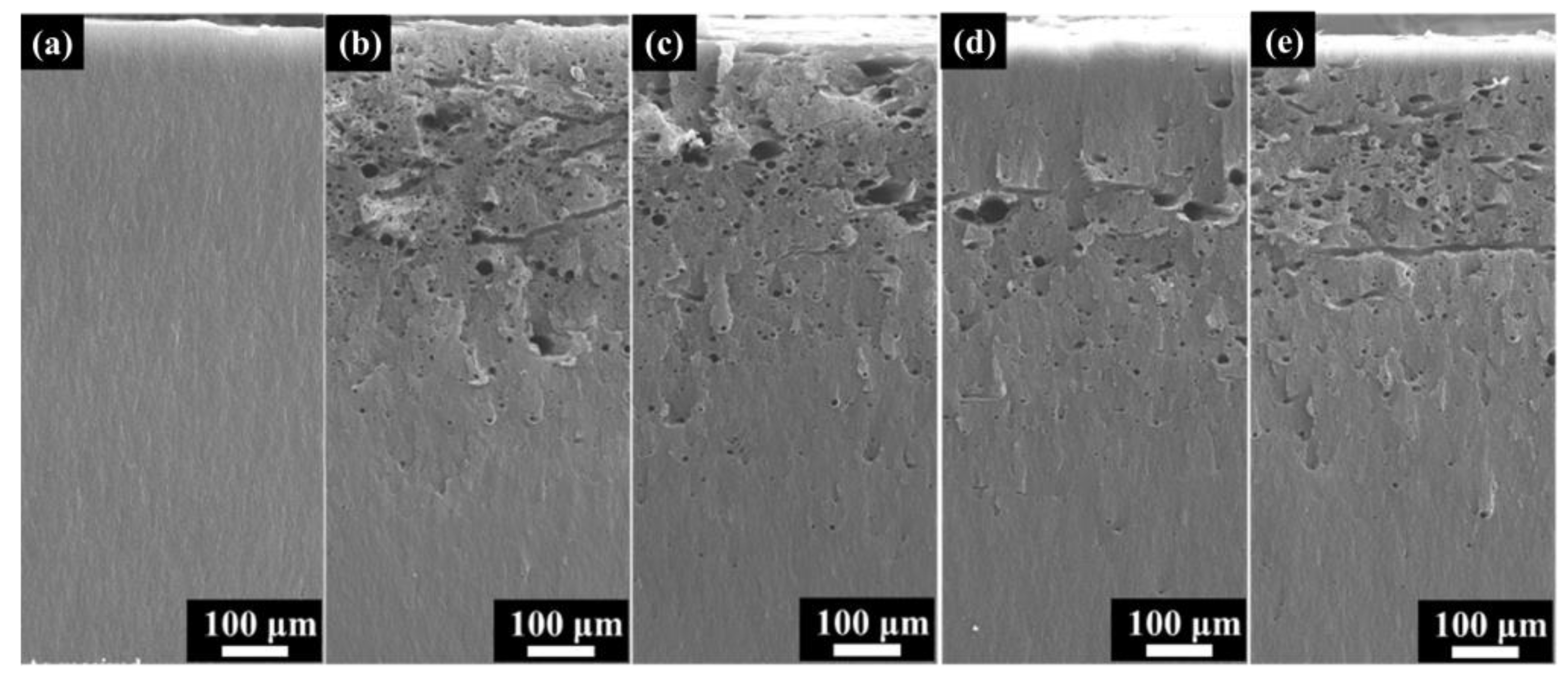 Polymers 16 00773 g008