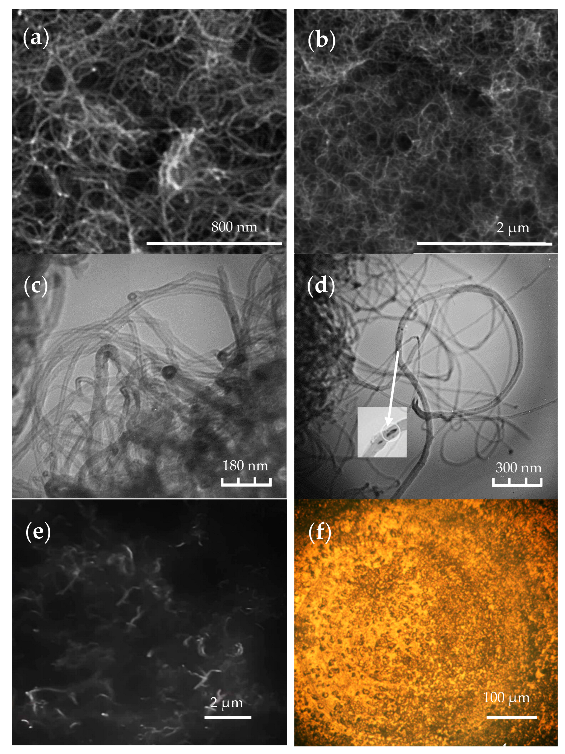 Polymers 16 00774 g002