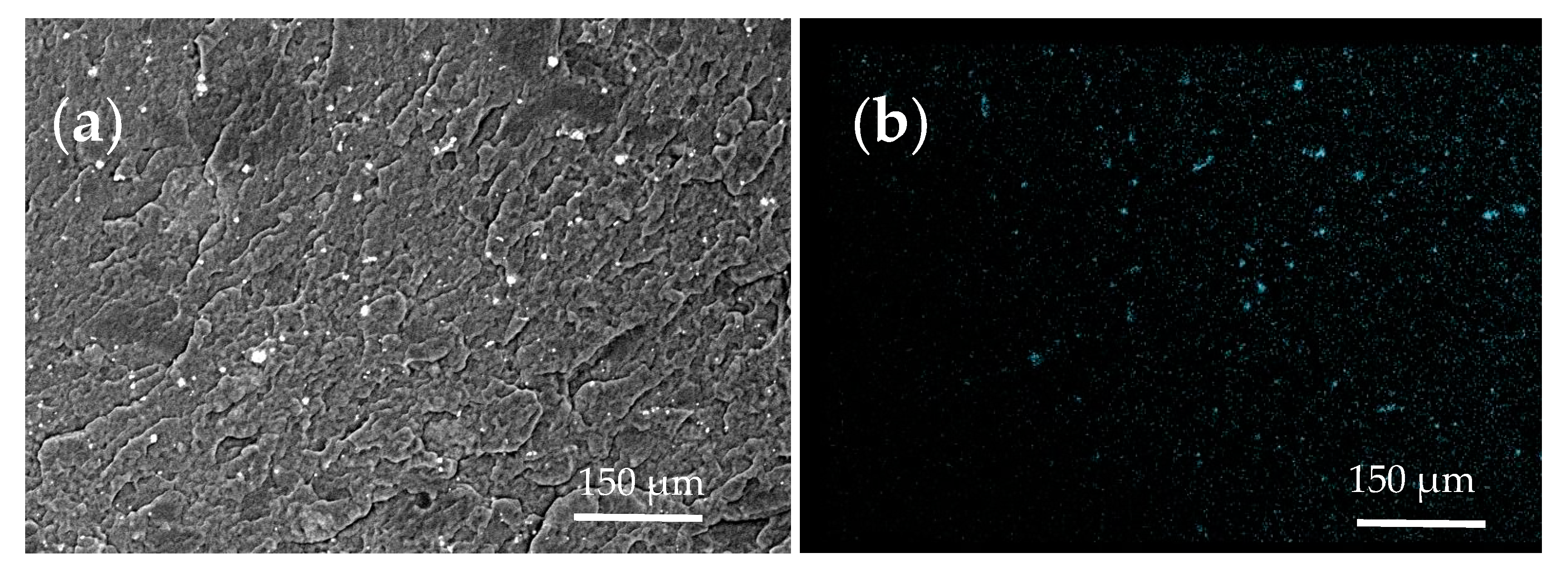 Polymers 16 00774 g004a