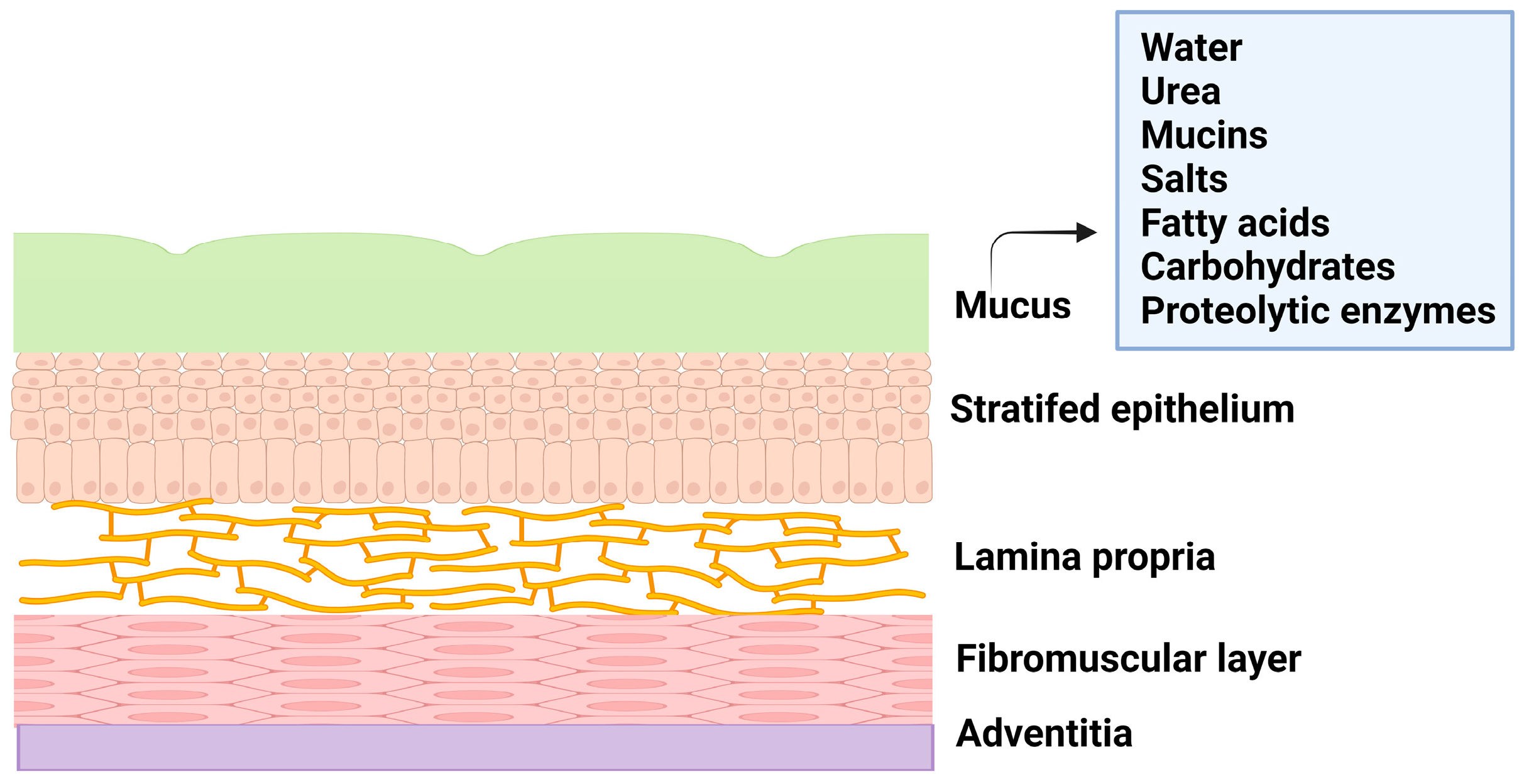 Polymers 16 00775 g001
