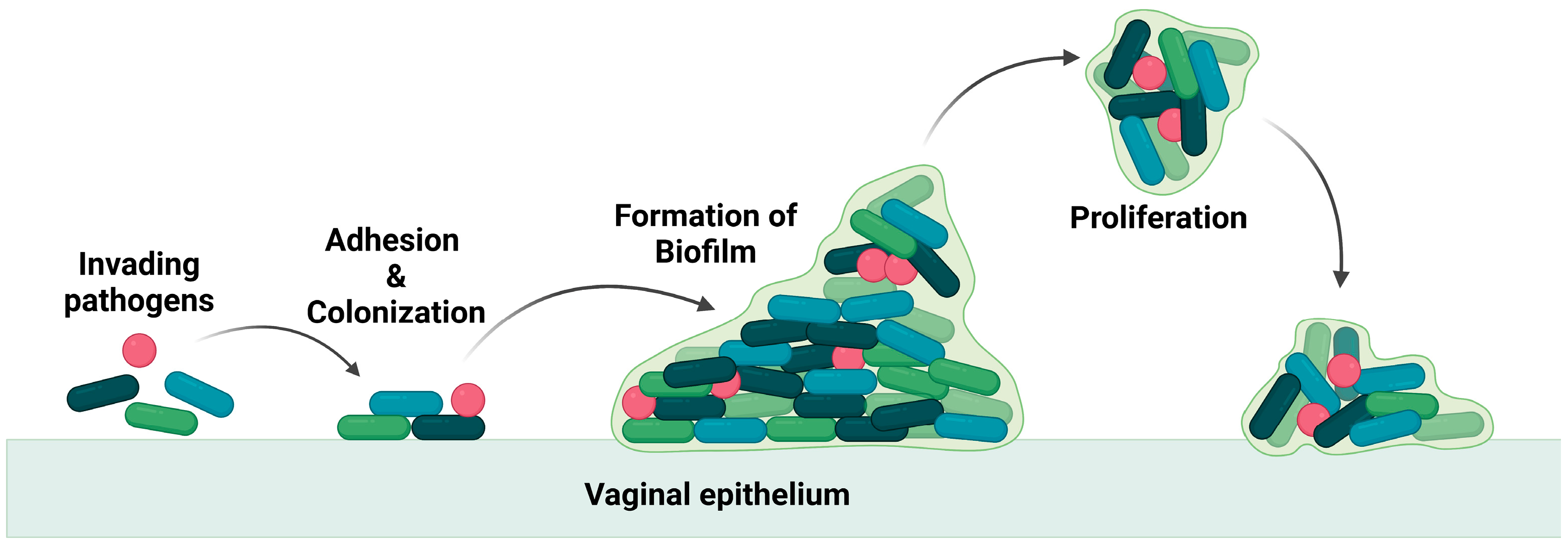 Polymers 16 00775 g002