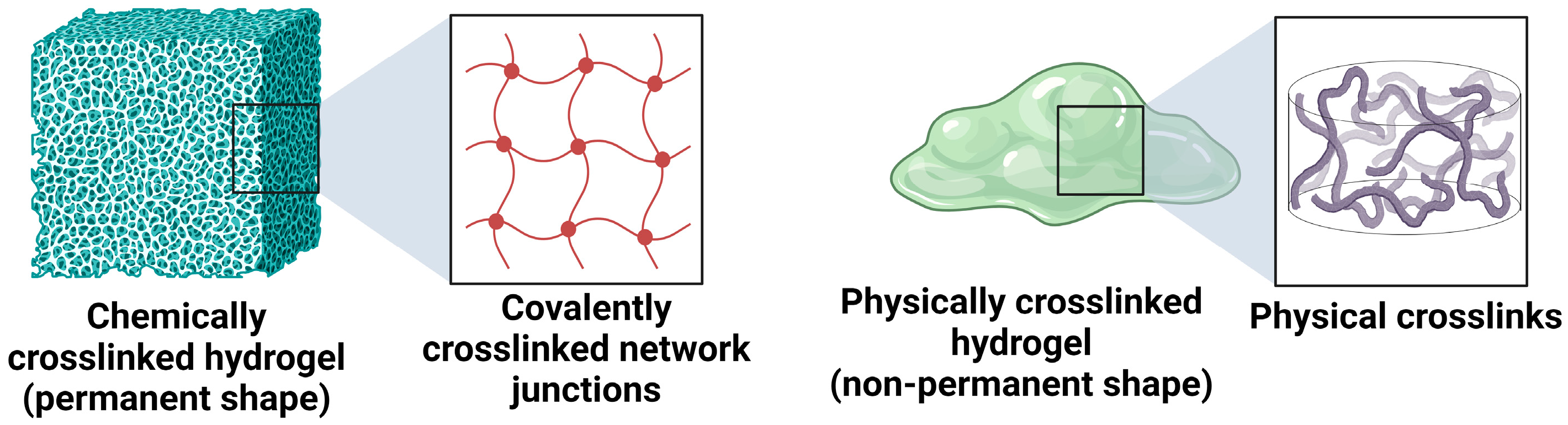 Polymers 16 00775 g004