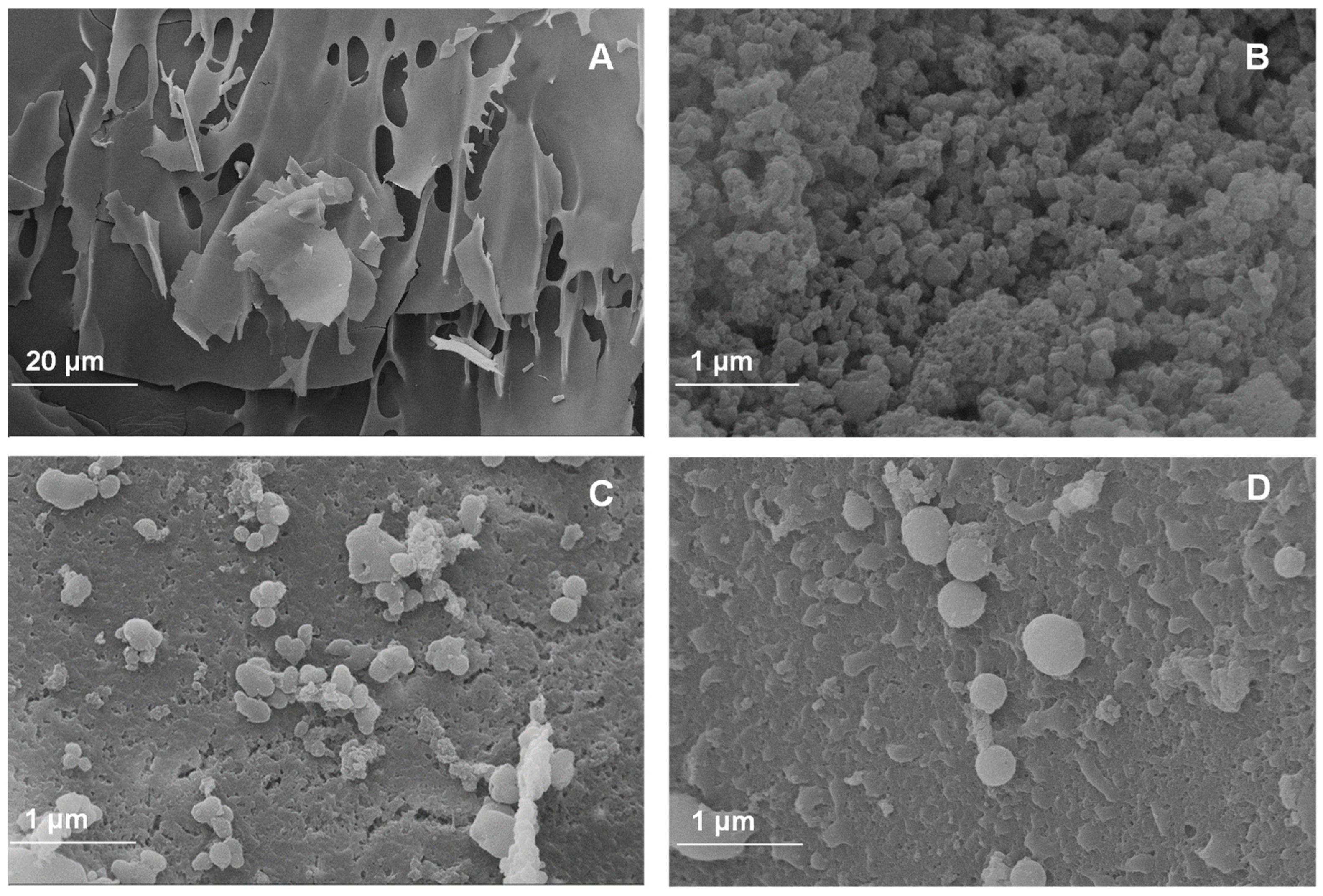 Polymers 16 00777 g001