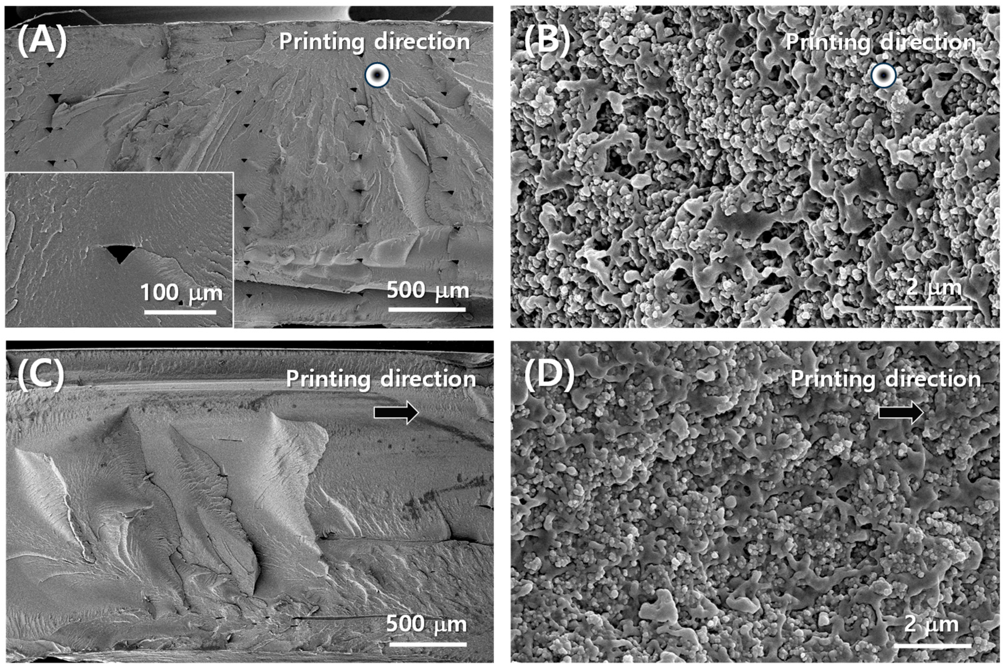Polymers 16 00786 g003