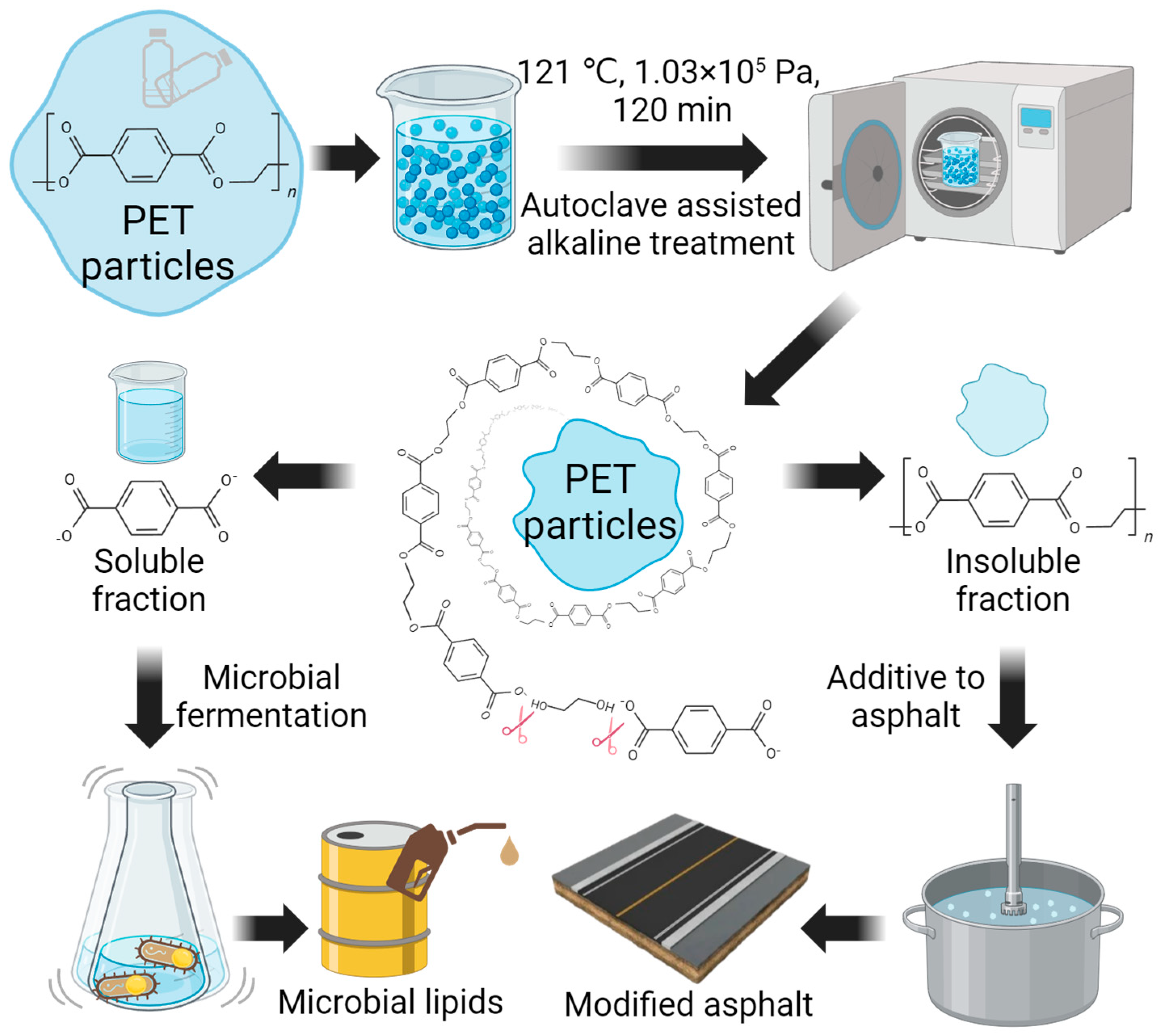 Polymers 16 00796 g001