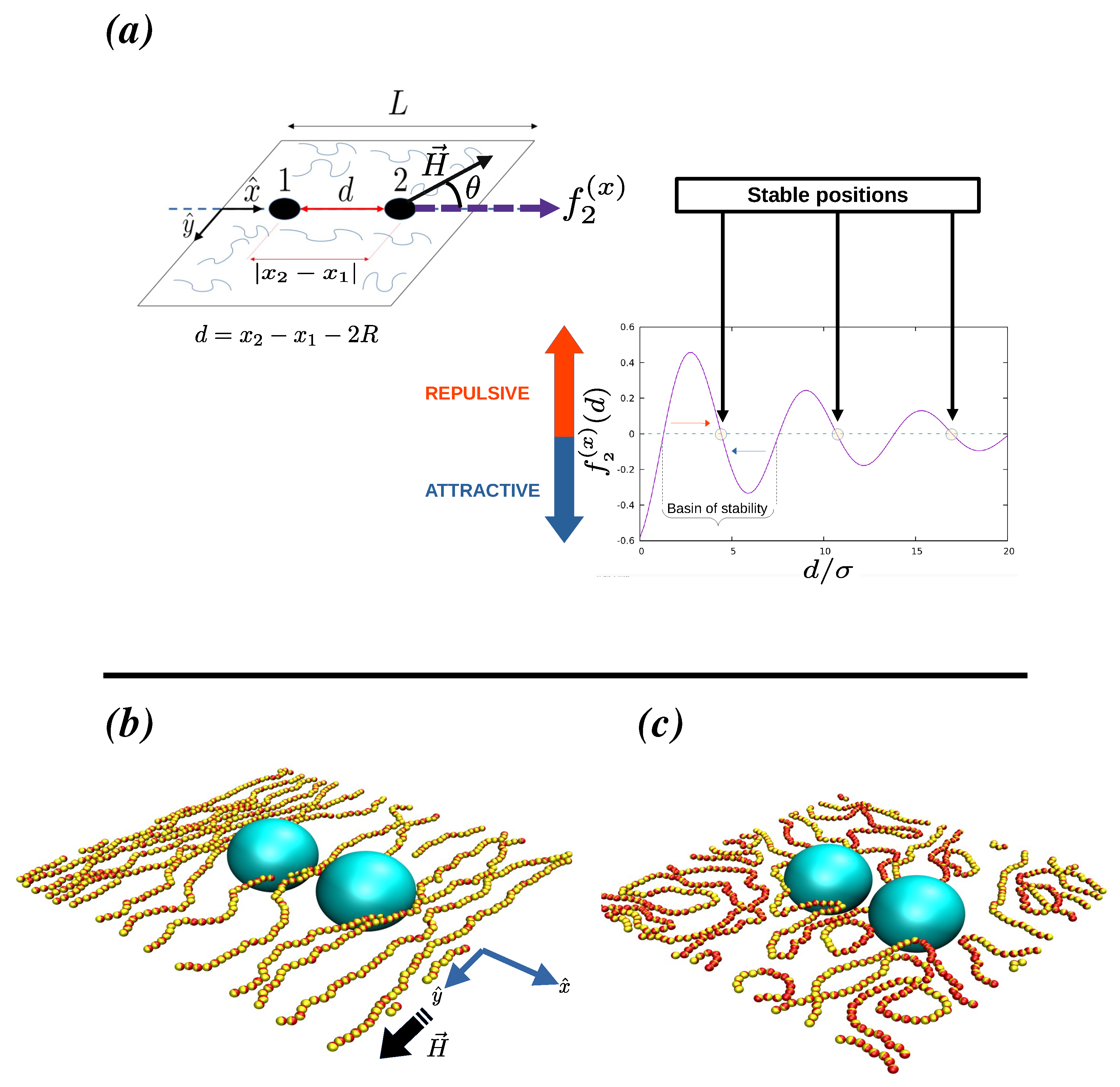 Polymers 16 00820 g001
