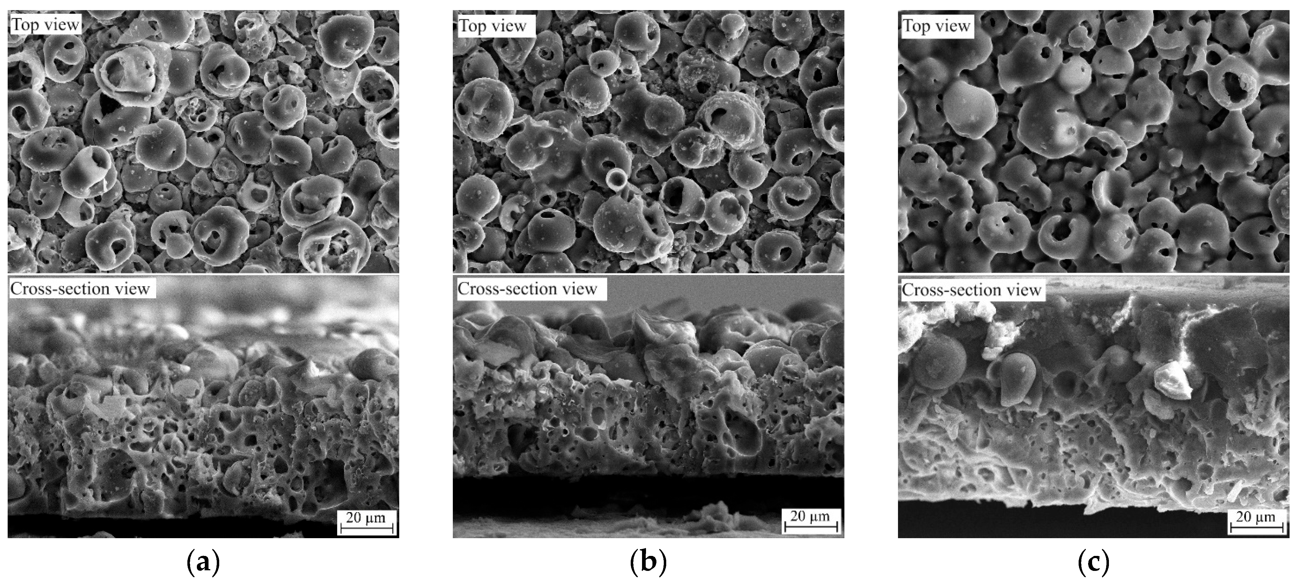 Polymers 16 00826 g002