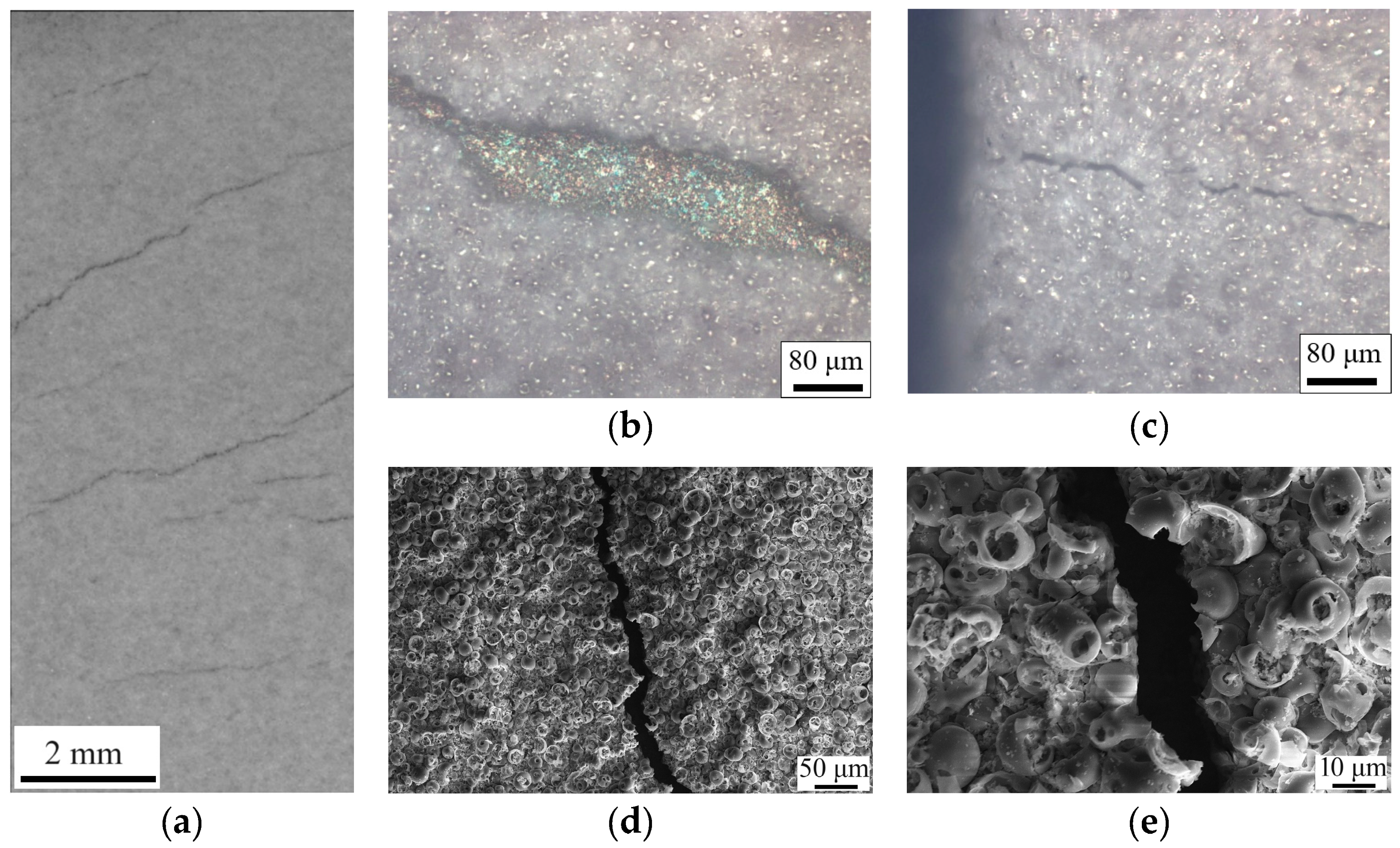 Polymers 16 00826 g006