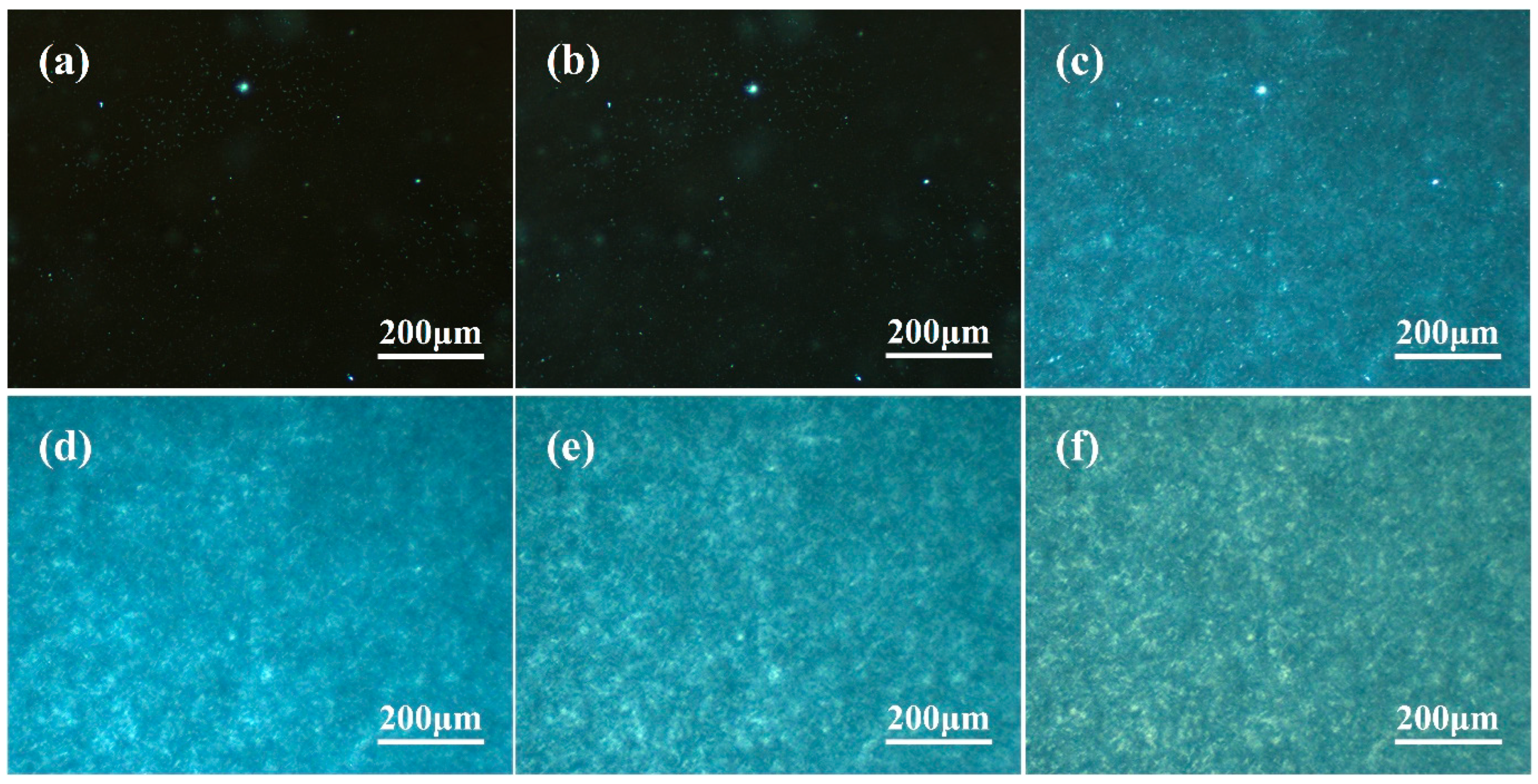 Polymers 16 00827 g003