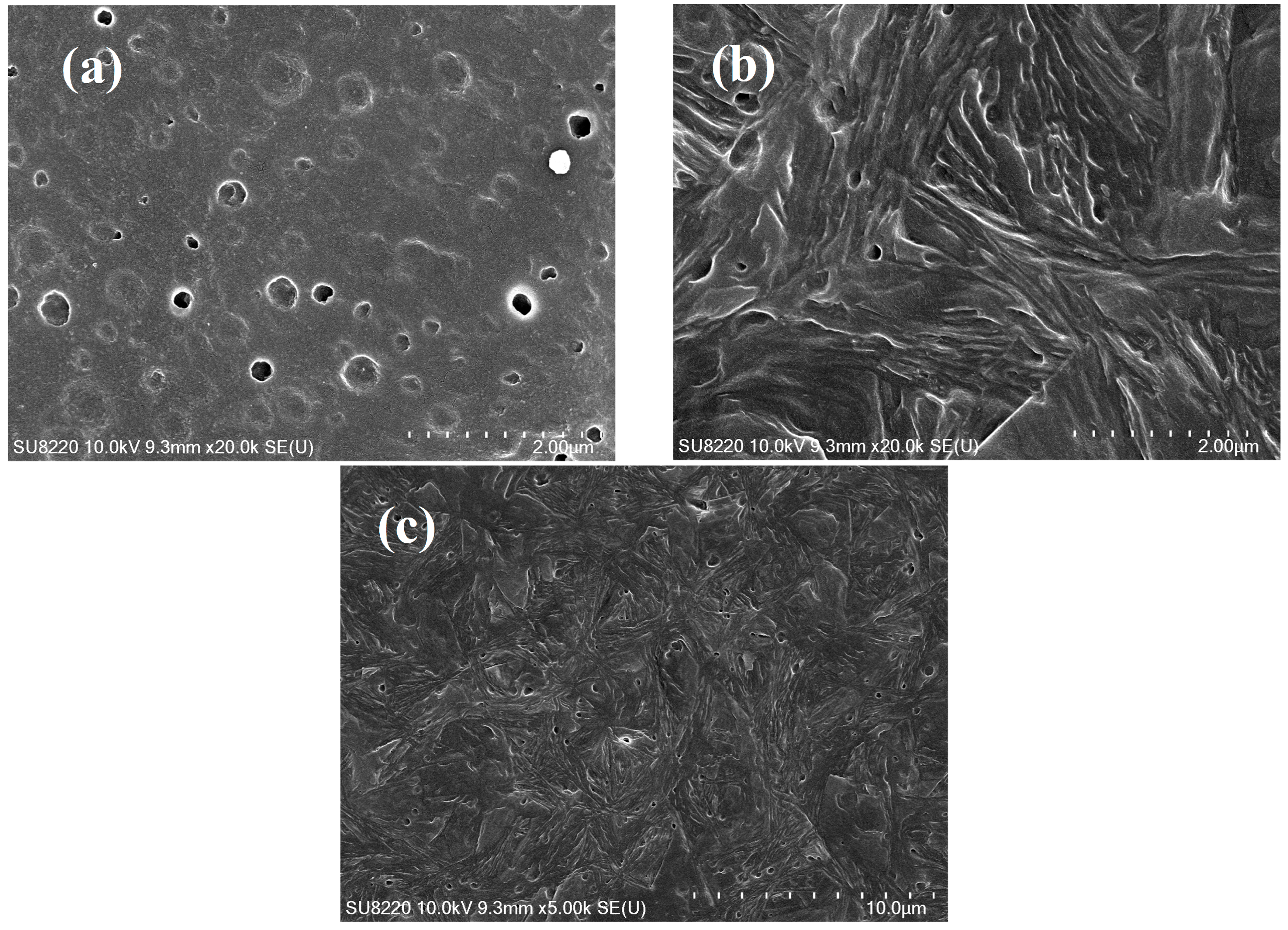 Polymers 16 00827 g006
