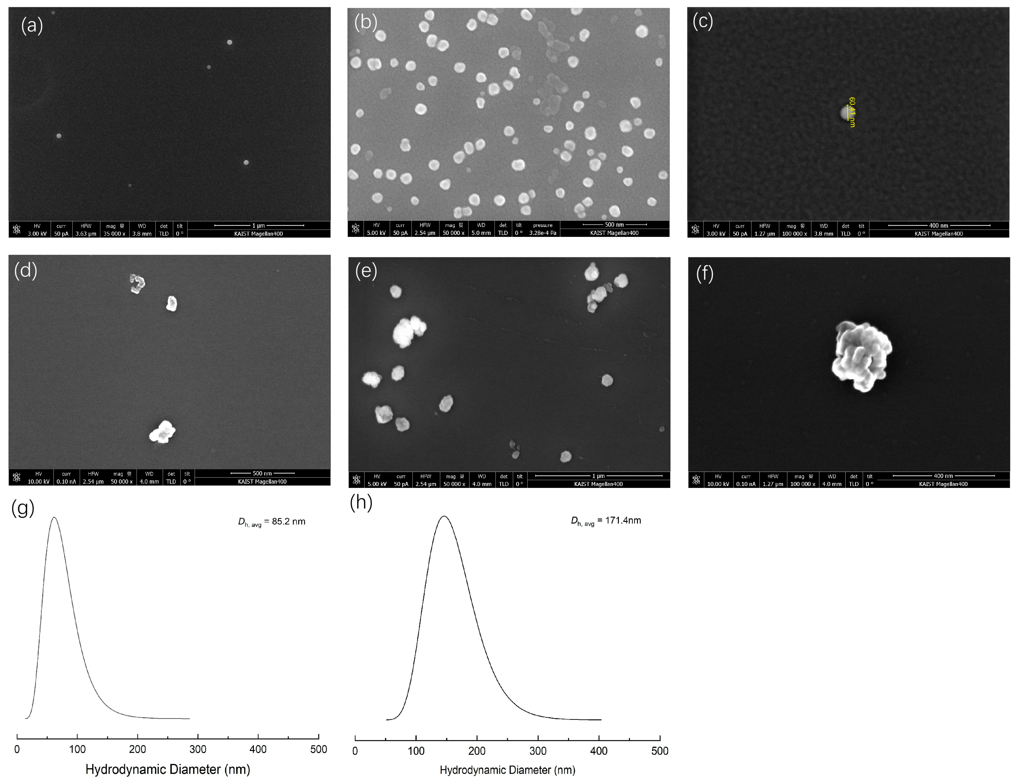 Polymers 16 00830 g006