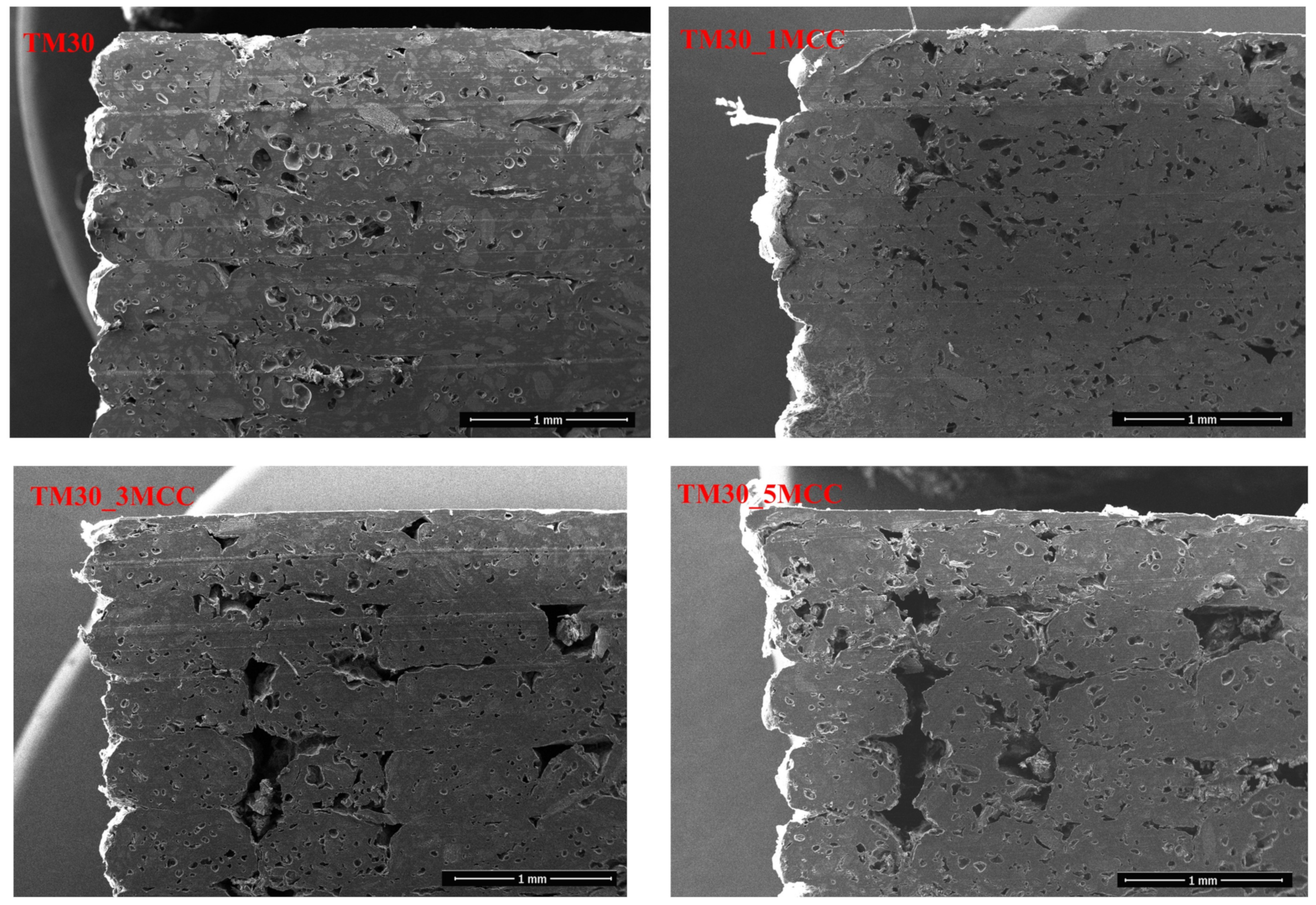 Polymers 16 00836 g014 Polymers 16 00836 g014